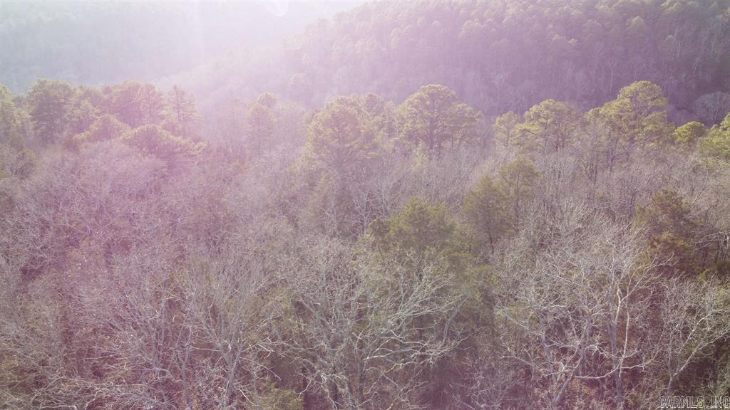 20 Acres  Pottsville, AR