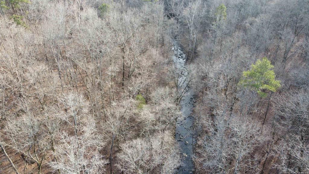 20 Acres  Pottsville, AR