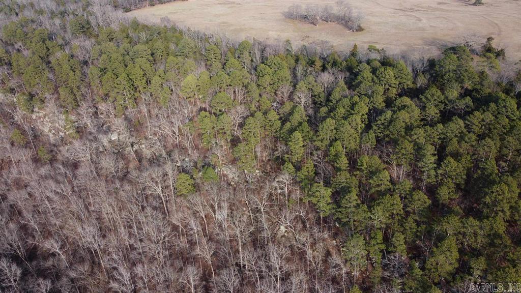 20 Acres  Pottsville, AR