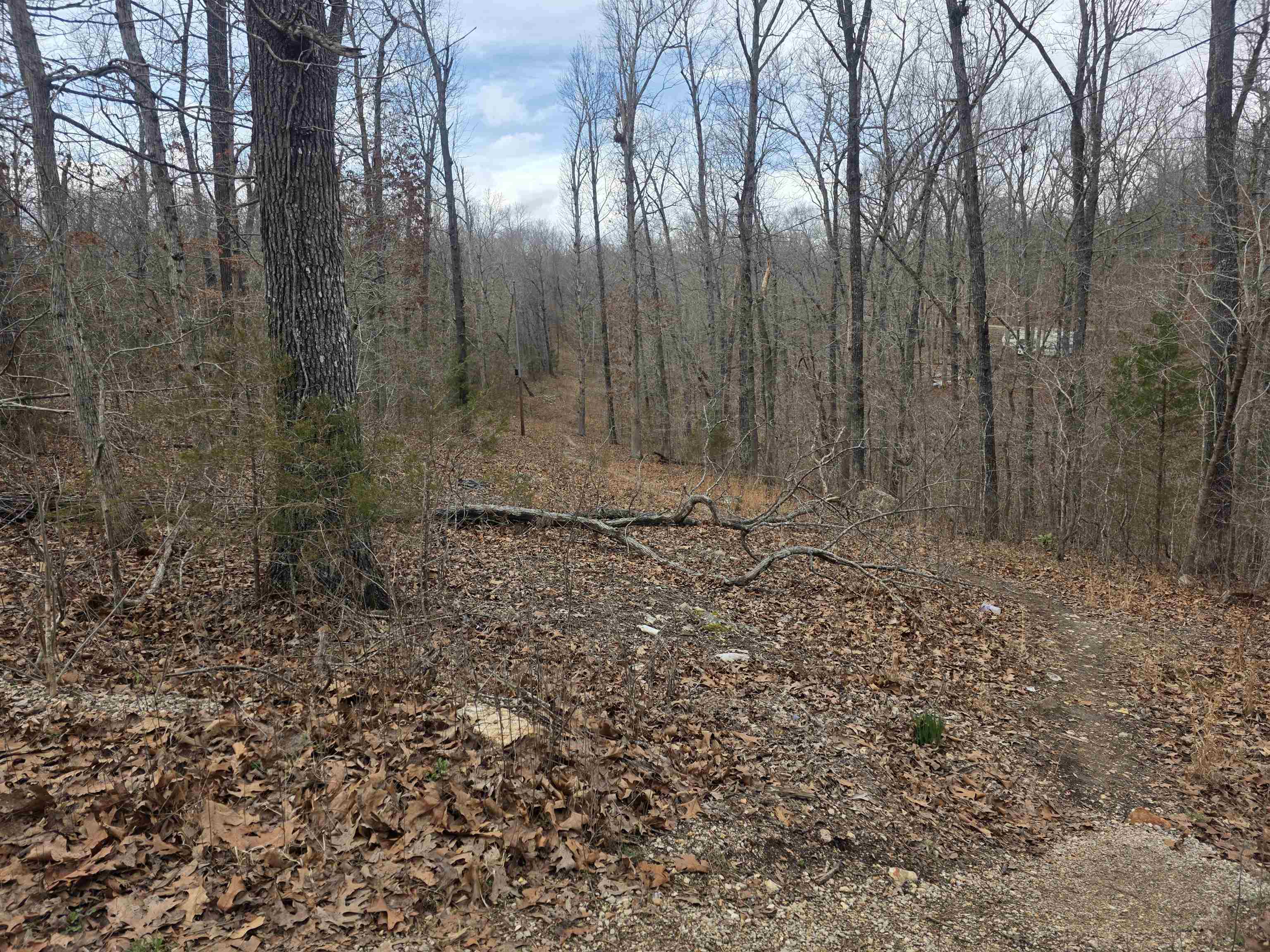 6 Lots S Summit Ridge  Ozark Acres, AR
