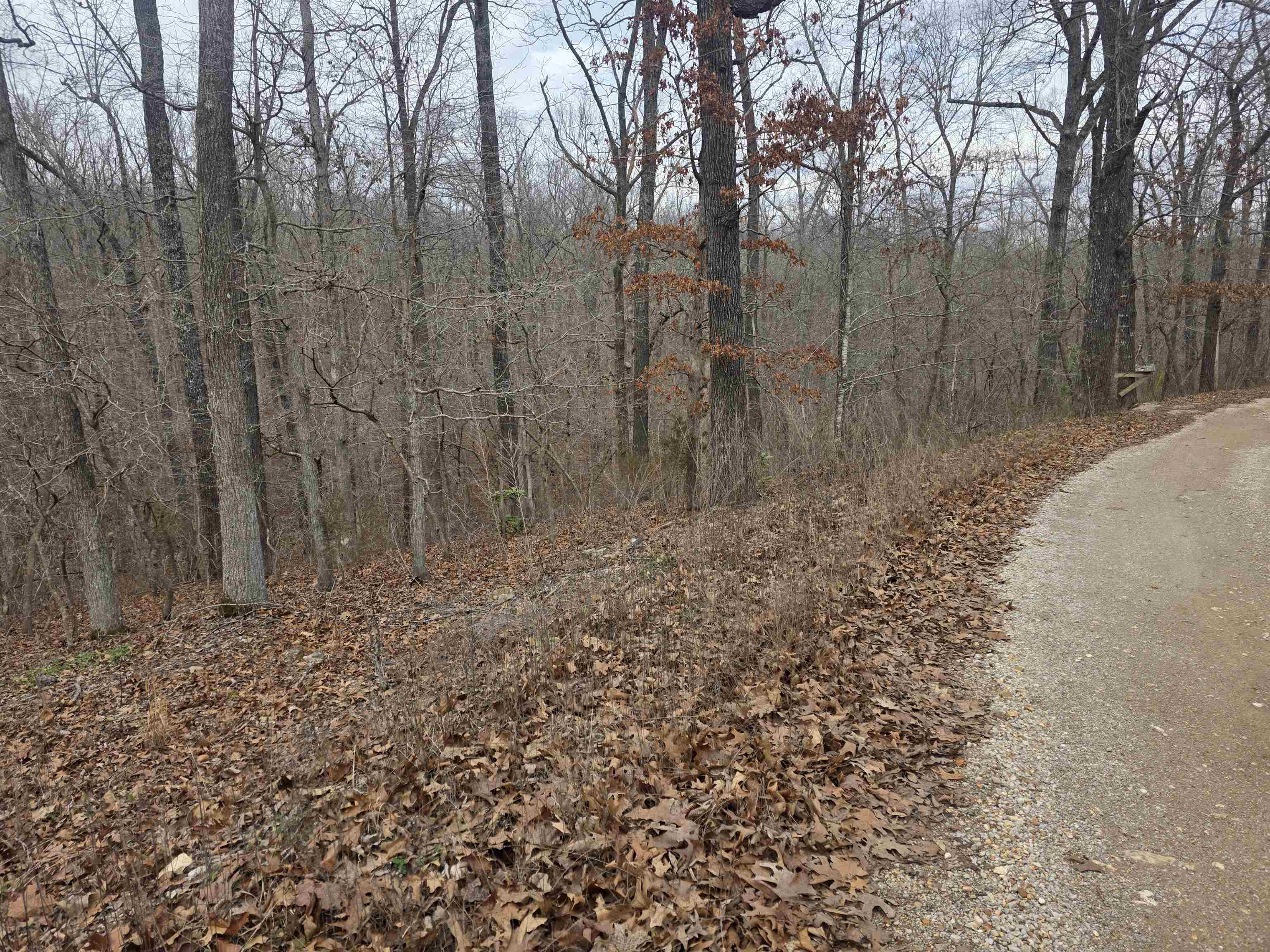 6 Lots S Summit Ridge  Ozark Acres, AR