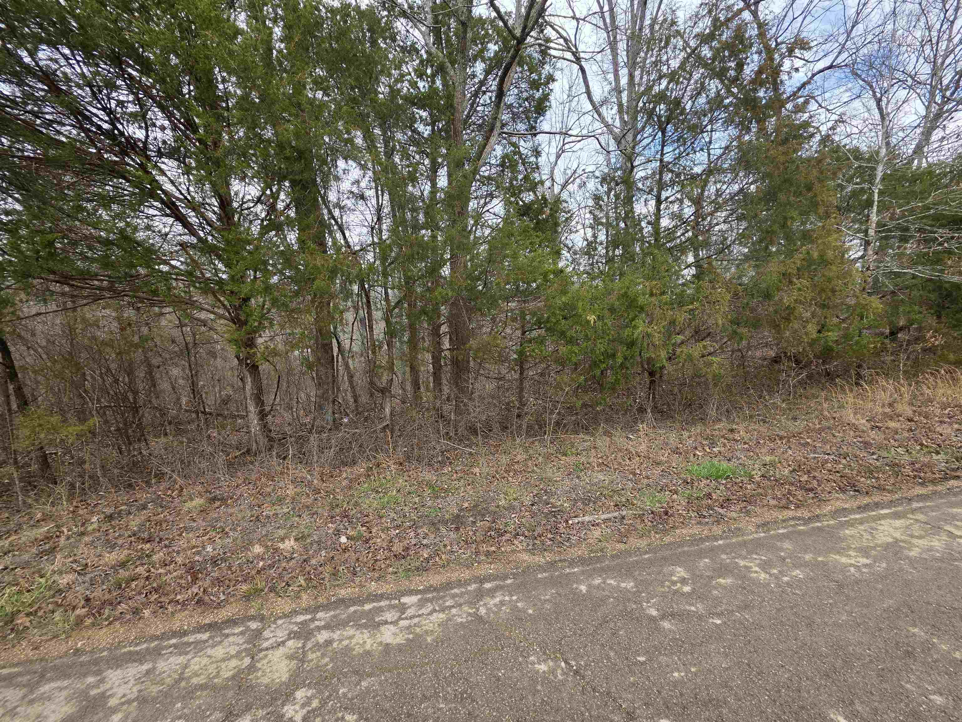6 Lots S Summit Ridge  Ozark Acres, AR
