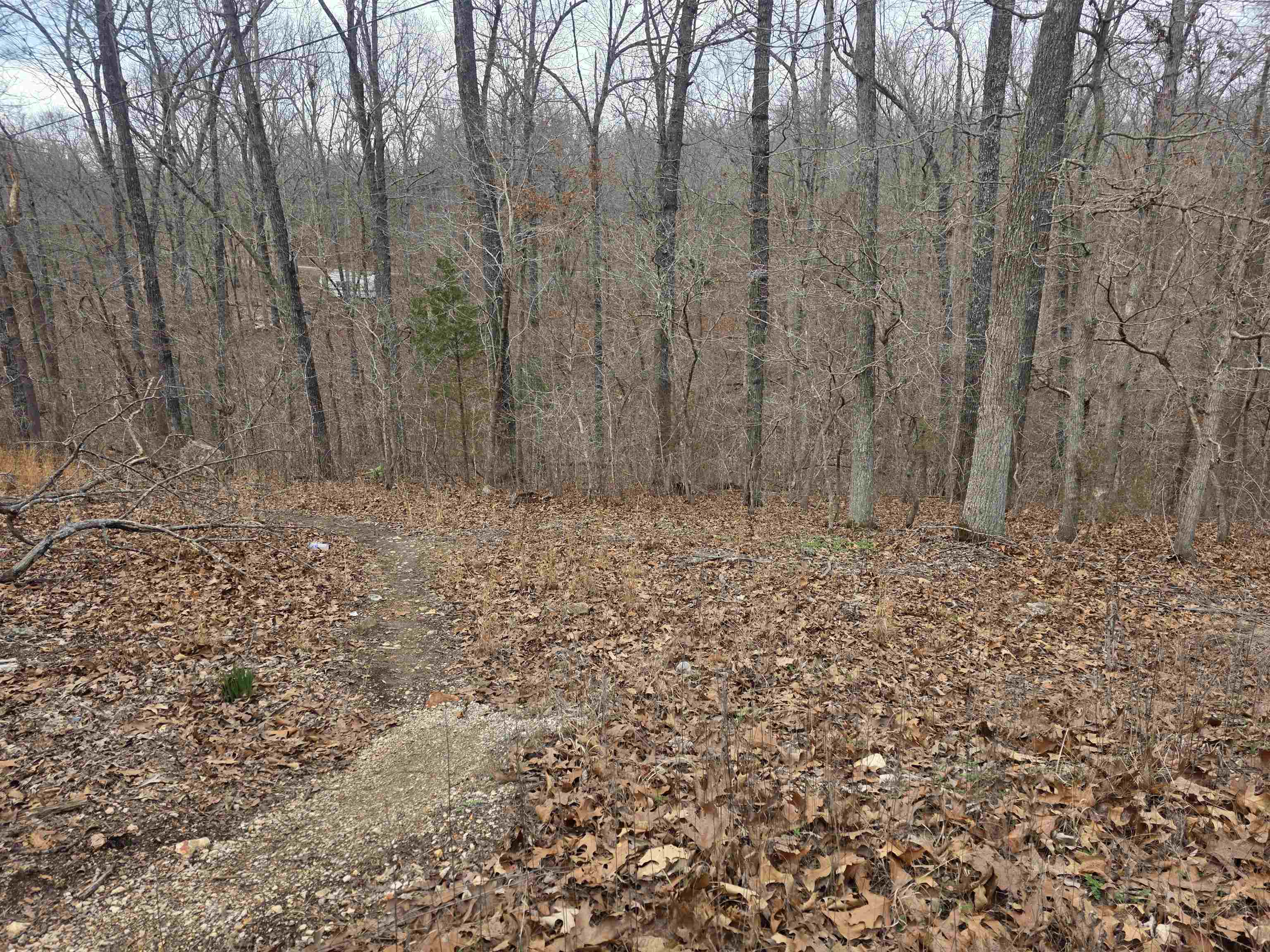 6 Lots S Summit Ridge  Ozark Acres, AR