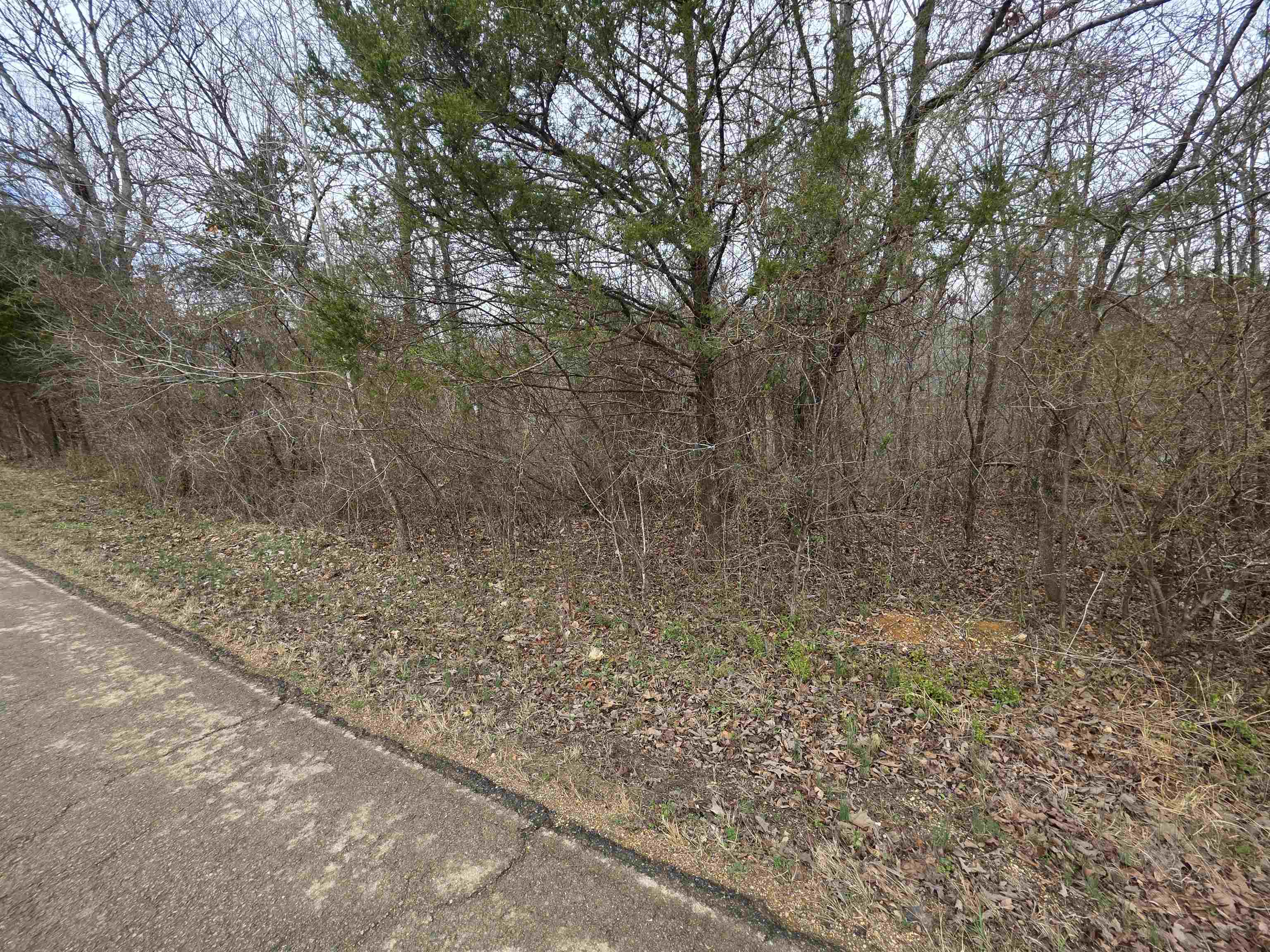 6 Lots S Summit Ridge  Ozark Acres, AR