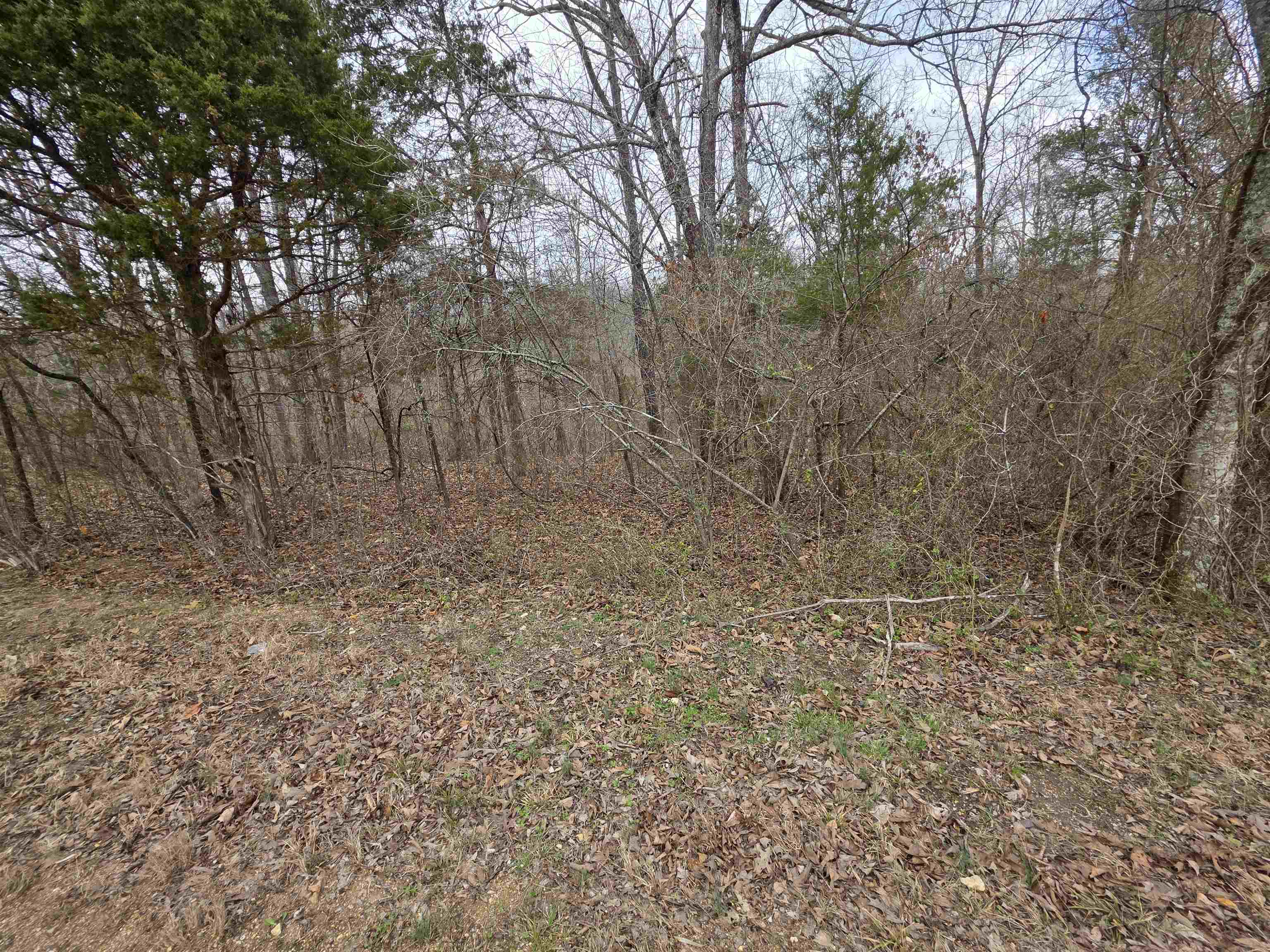 6 Lots S Summit Ridge  Ozark Acres, AR