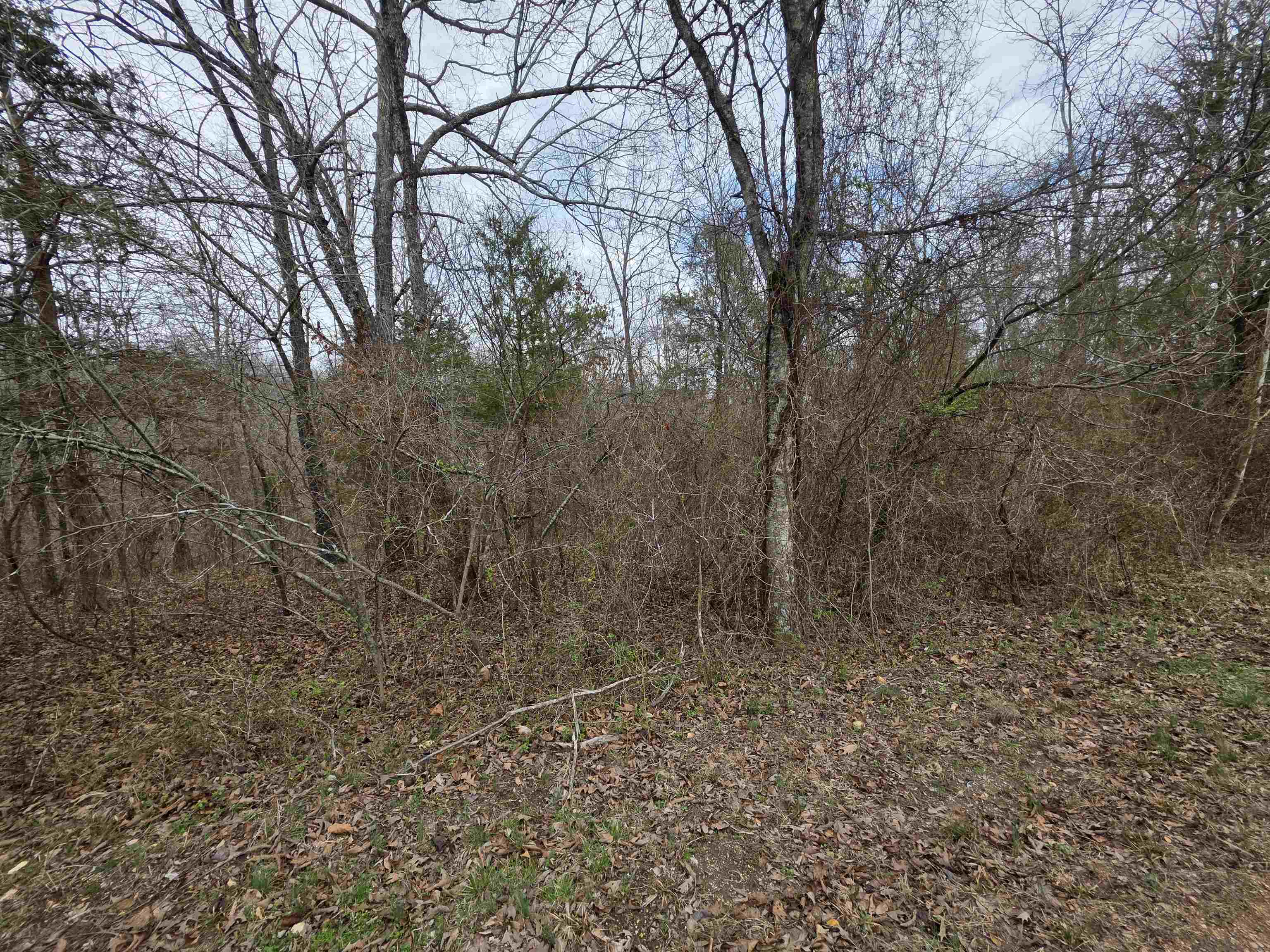 6 Lots S Summit Ridge  Ozark Acres, AR