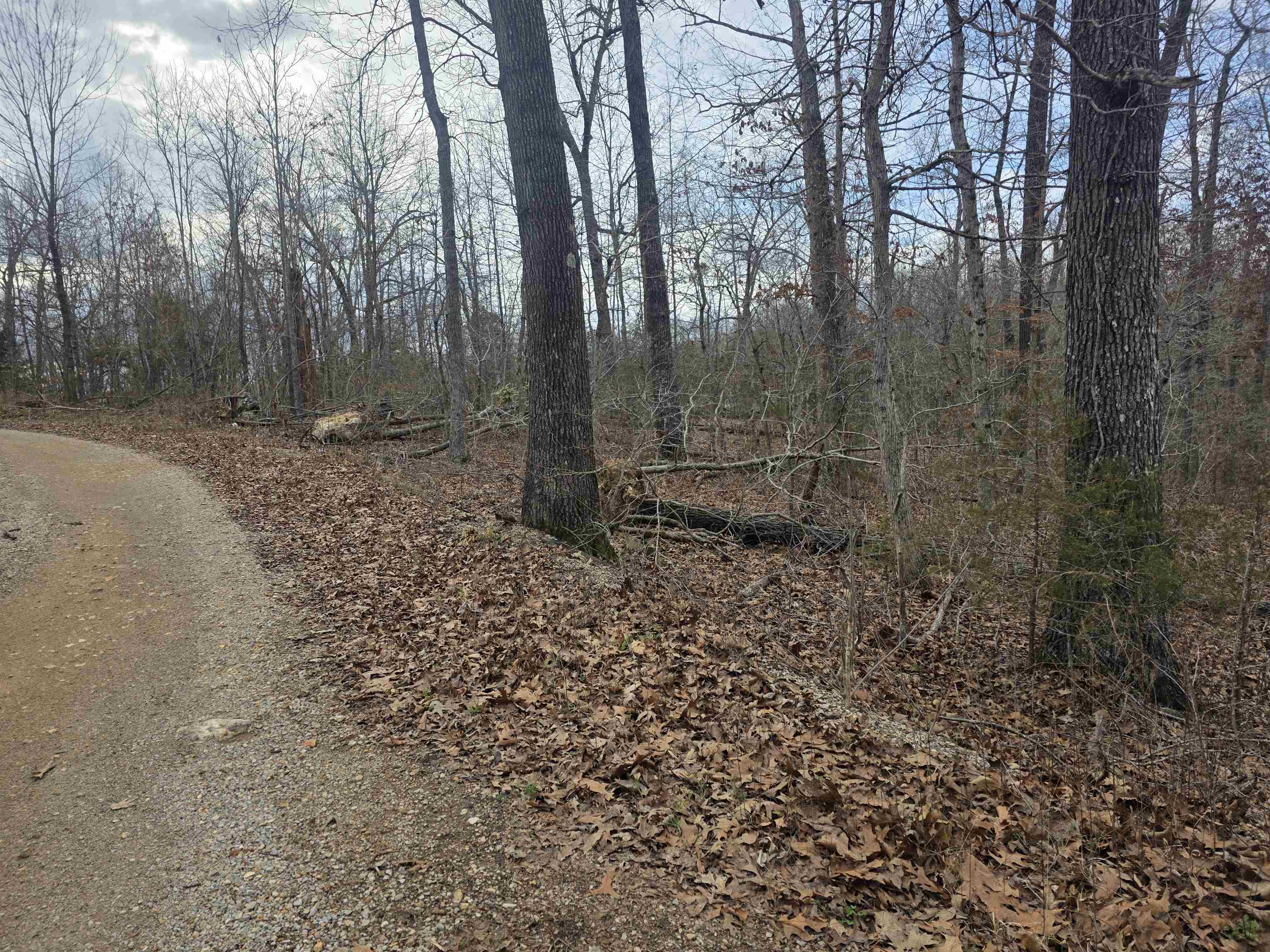 6 Lots S Summit Ridge  Ozark Acres, AR