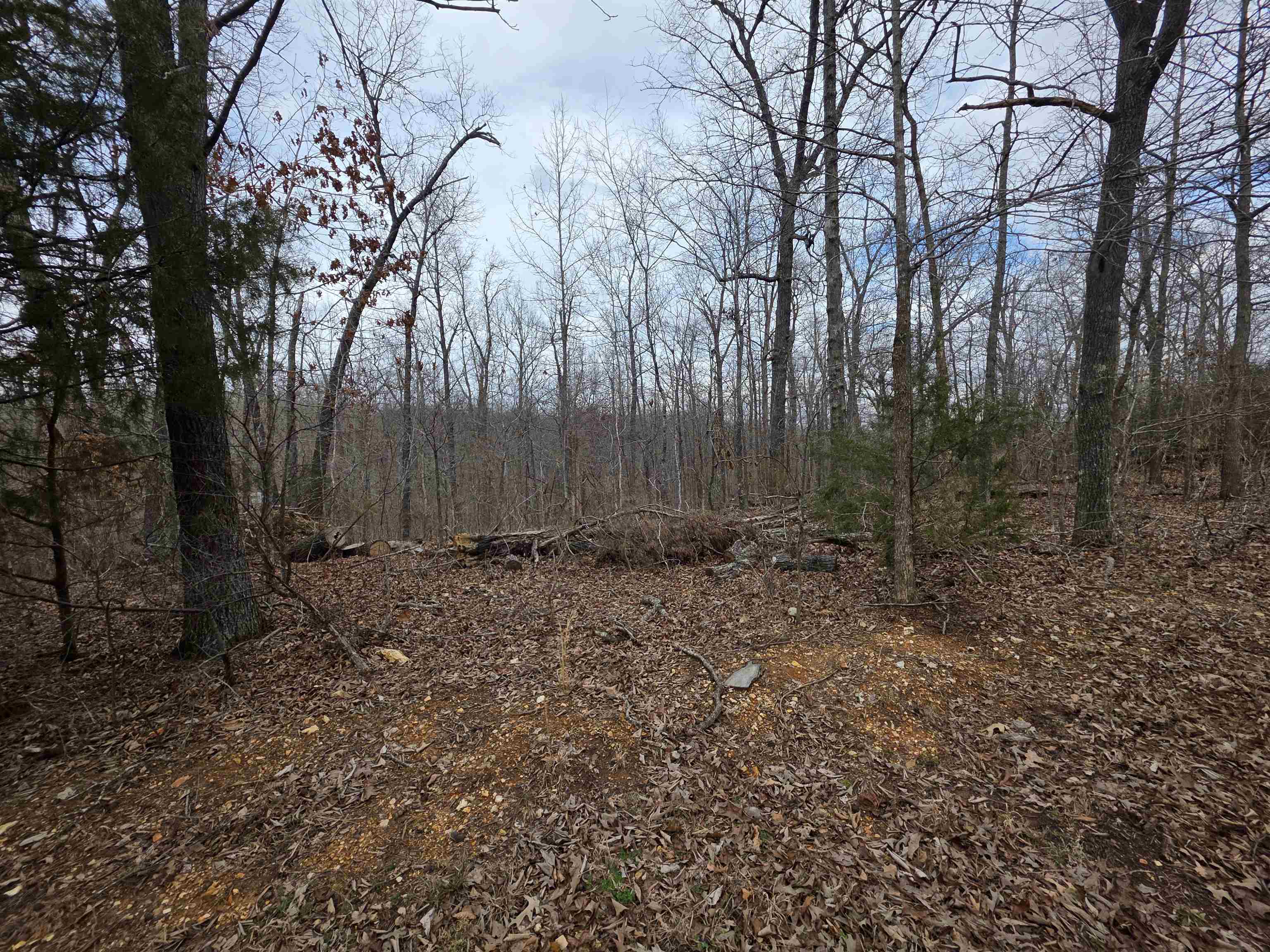 6 Lots S Summit Ridge  Ozark Acres, AR