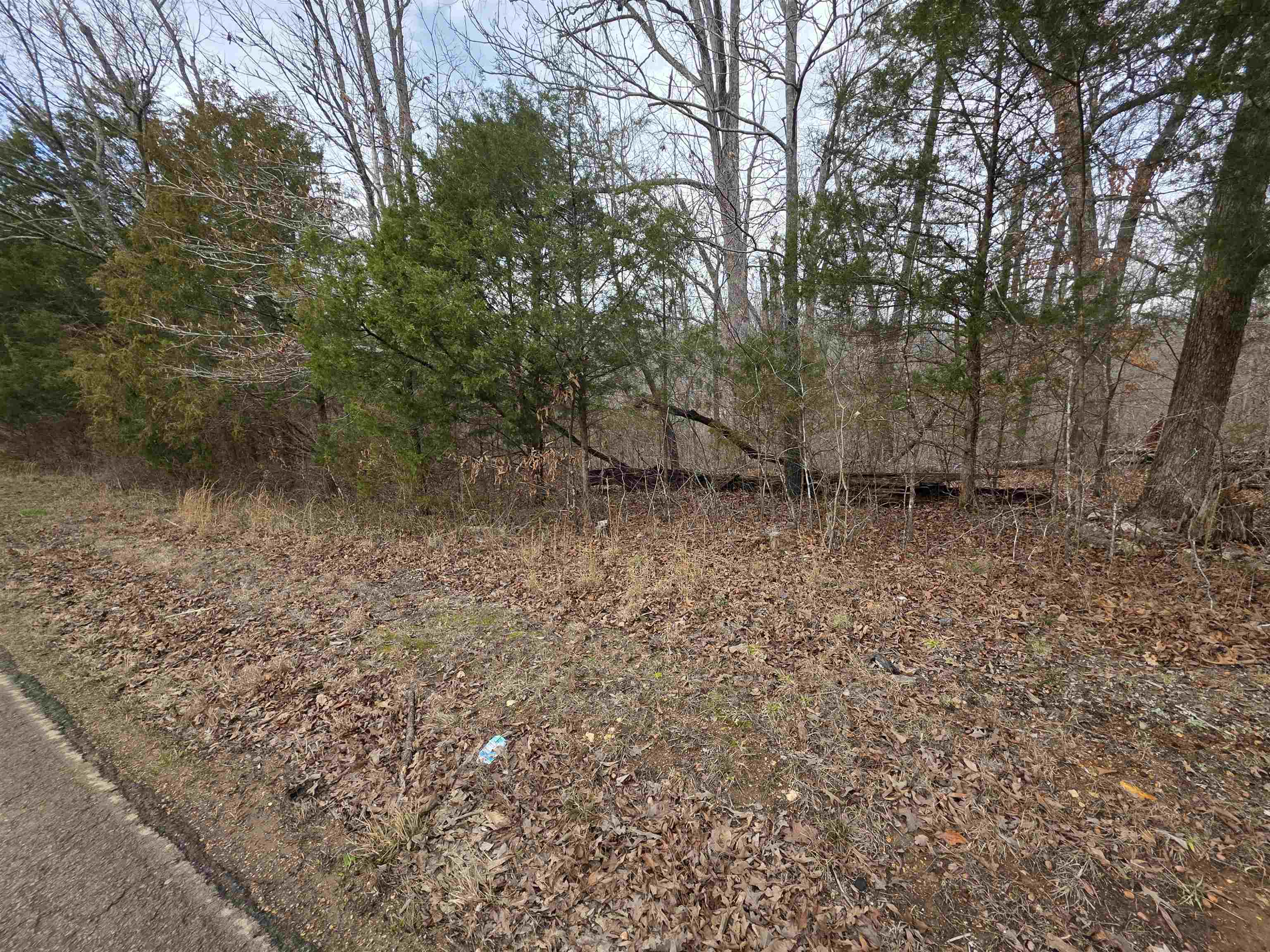 L16 B3 S Summit Ridge  Ozark Acres, AR