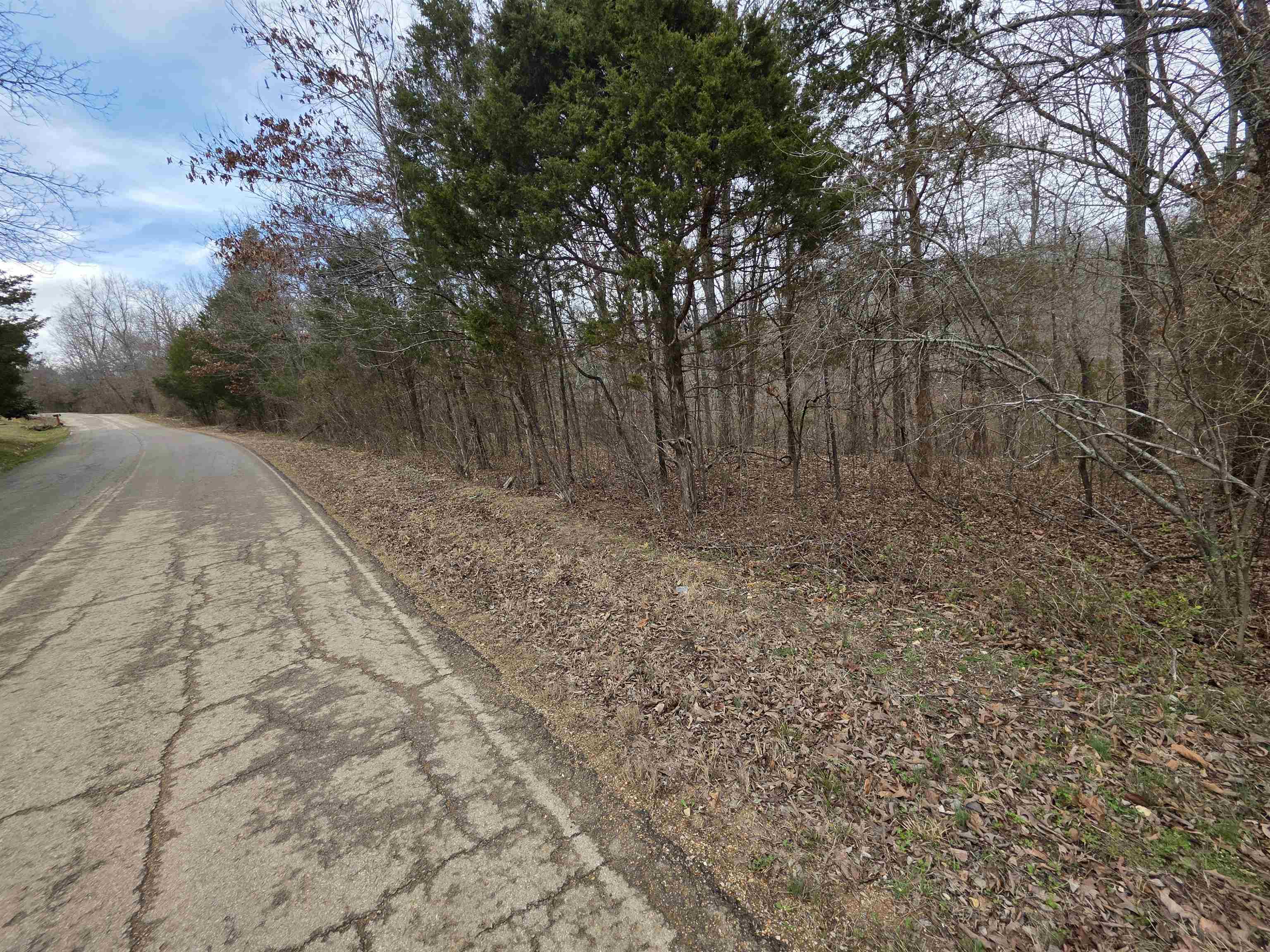 L17 B3 S Summit Ridge  Ozark Acres, AR