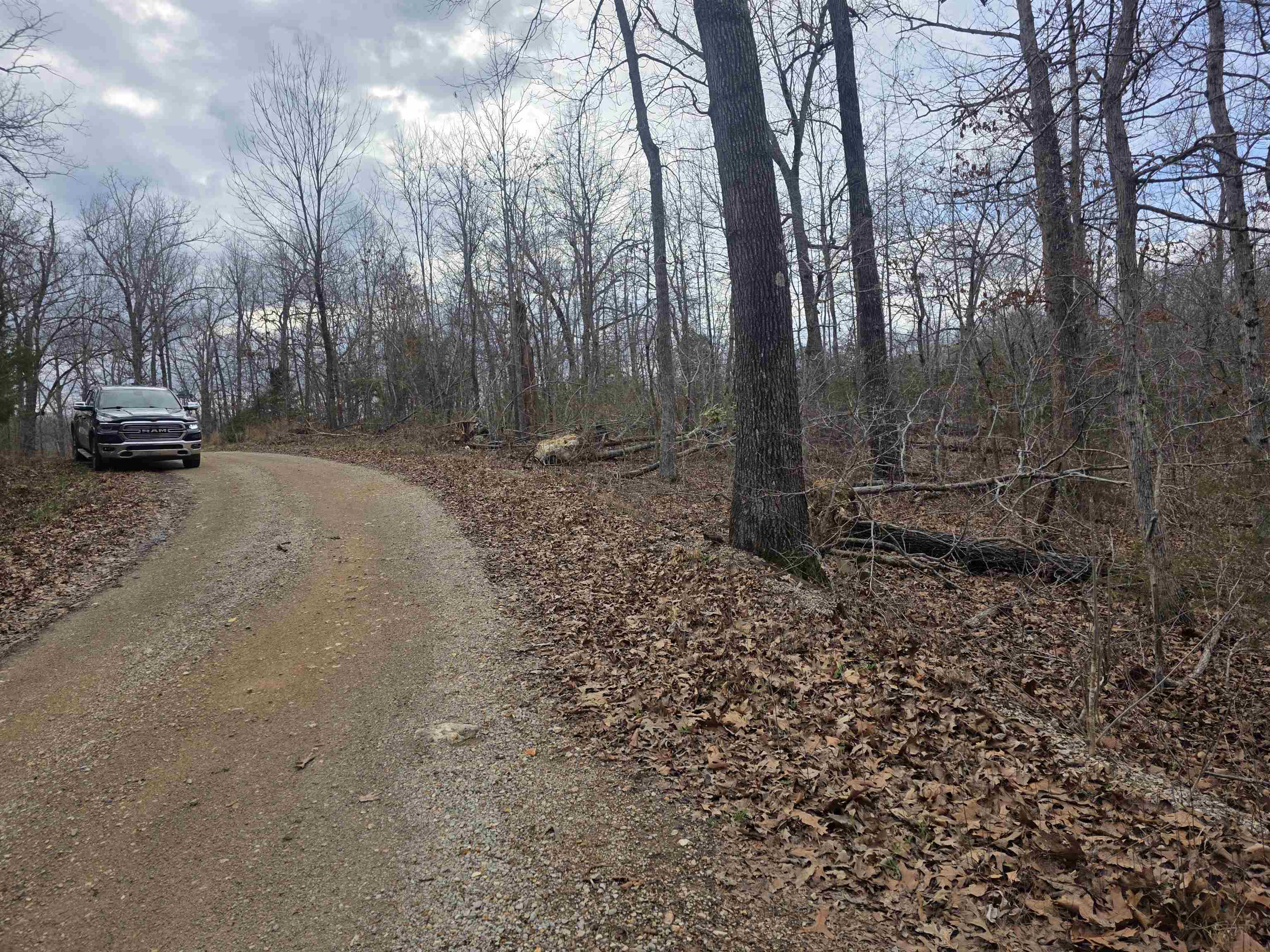 L4 B2 Bald Eagle  Ozark Acres, AR