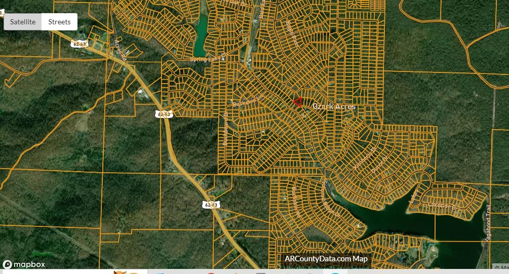 L4 B2 Bald Eagle  Ozark Acres, AR