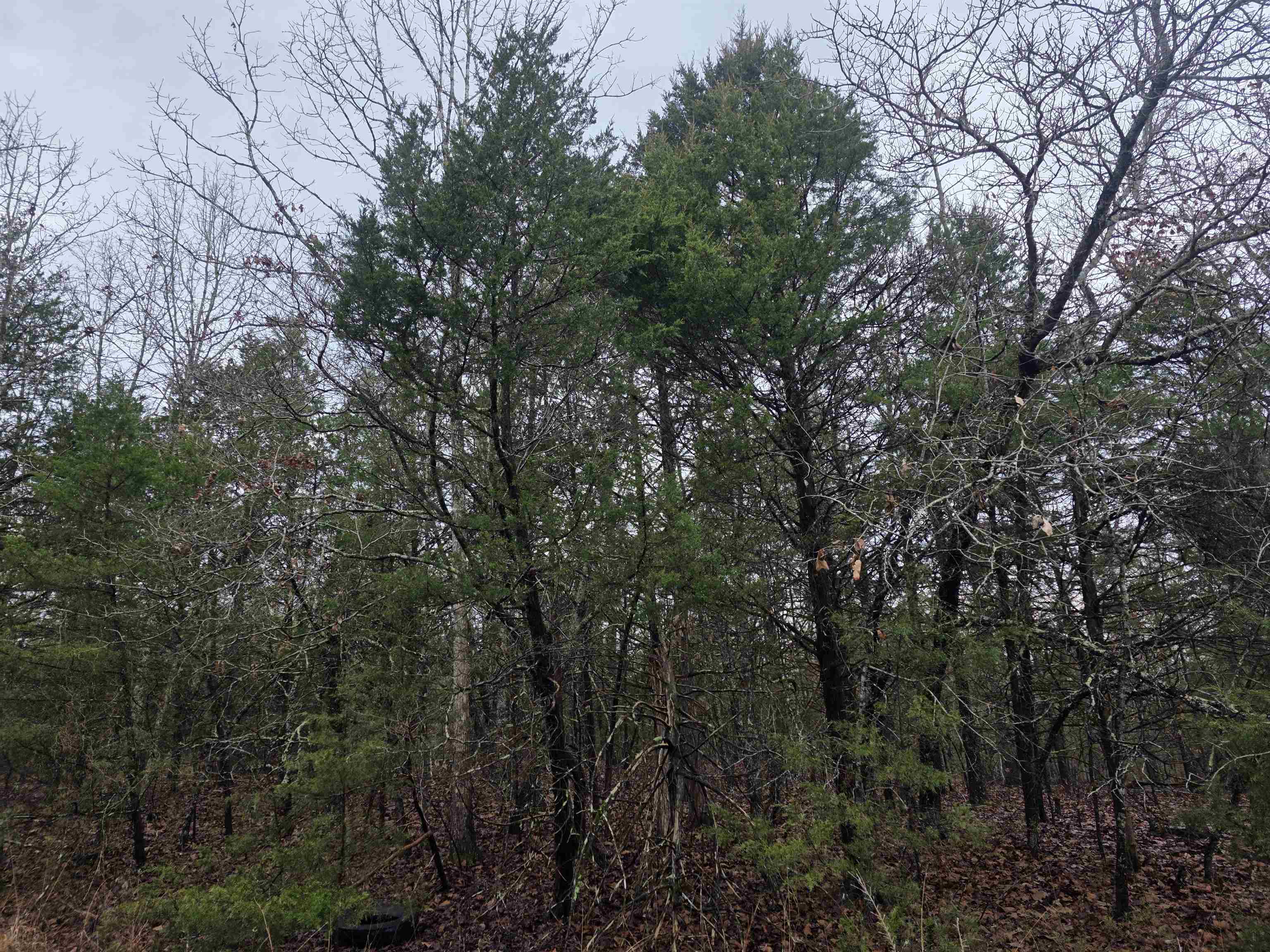 L-86,87 B-2 Gettysburg  Cherokee Village, AR