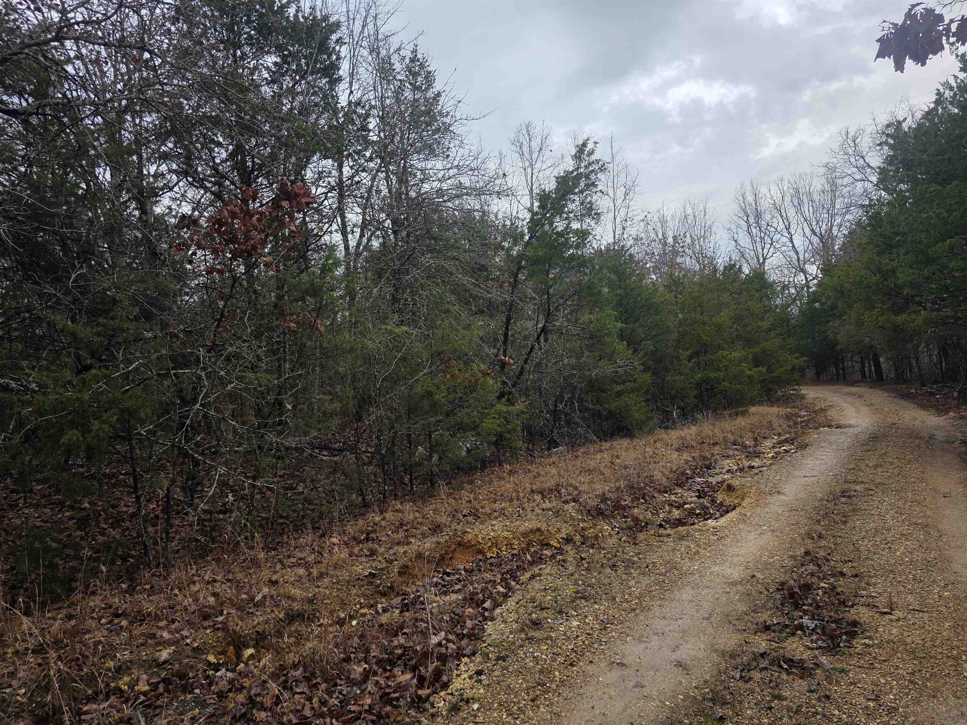 L-86,87 B-2 Gettysburg  Cherokee Village, AR