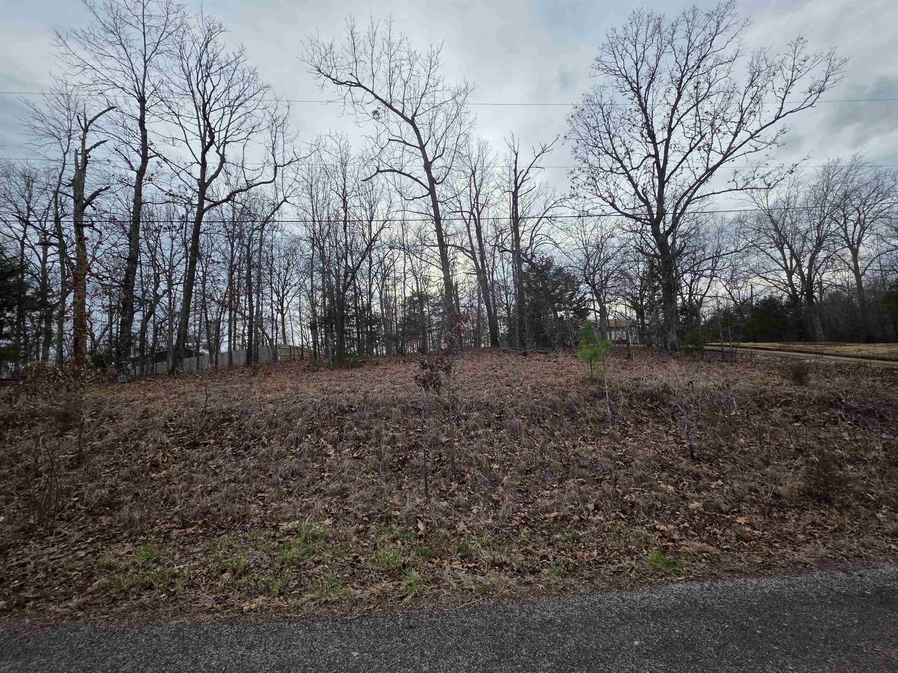 7 Lots Cherokee Village  Cherokee Village, AR