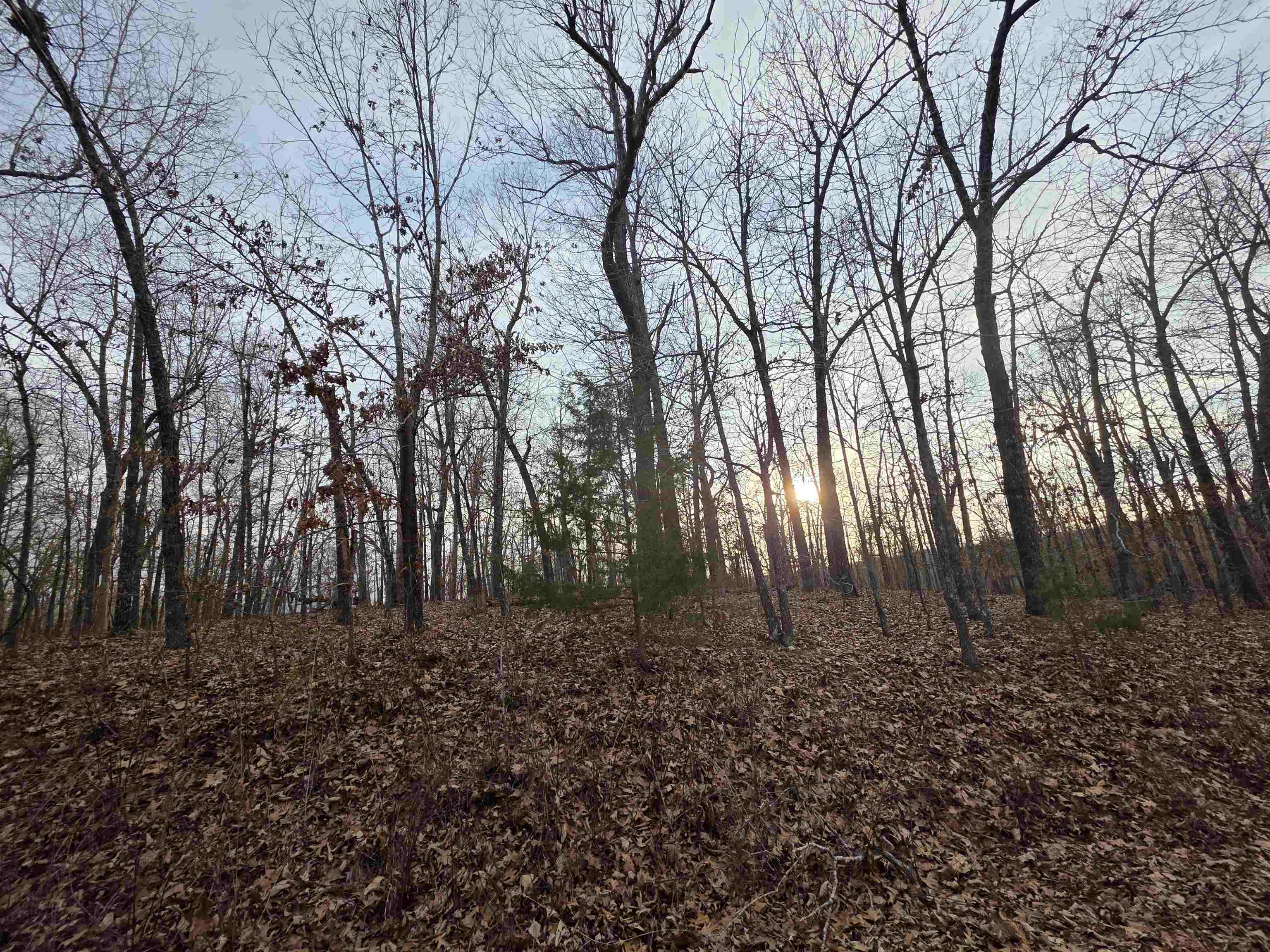 7 Lots Cherokee Village  Cherokee Village, AR