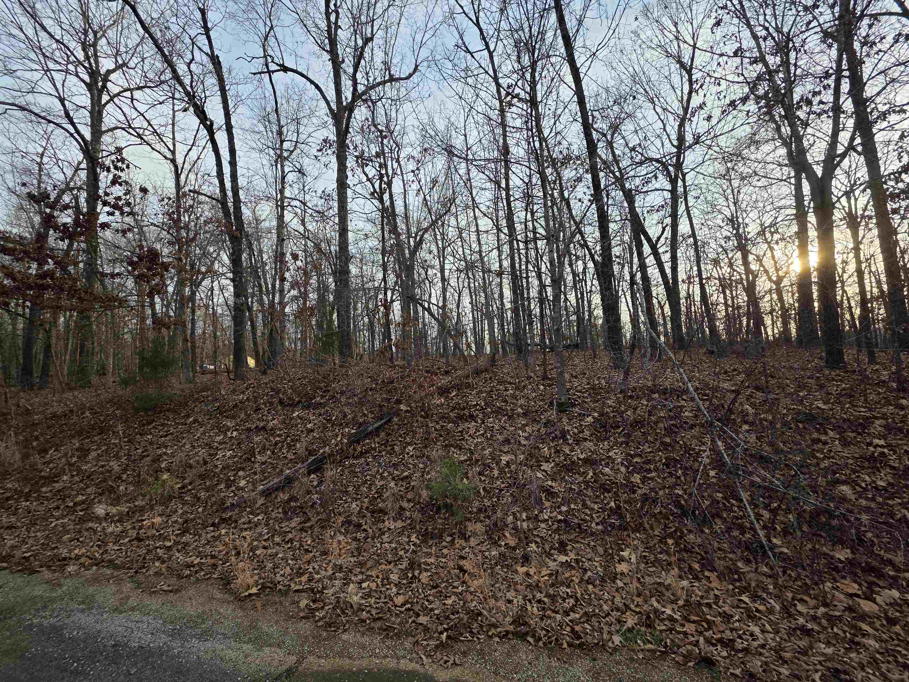 7 Lots Cherokee Village  Cherokee Village, AR