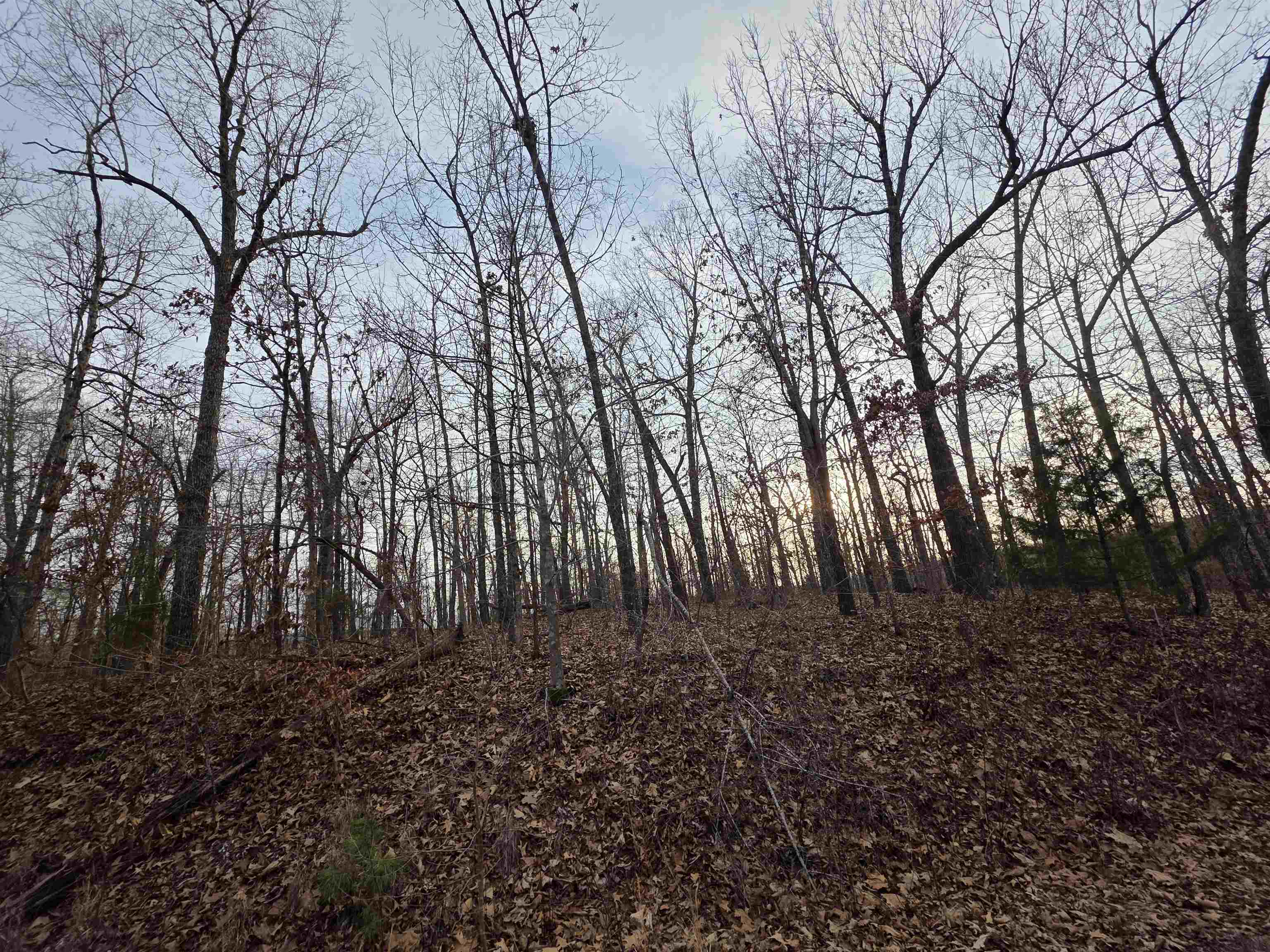 7 Lots Cherokee Village  Cherokee Village, AR