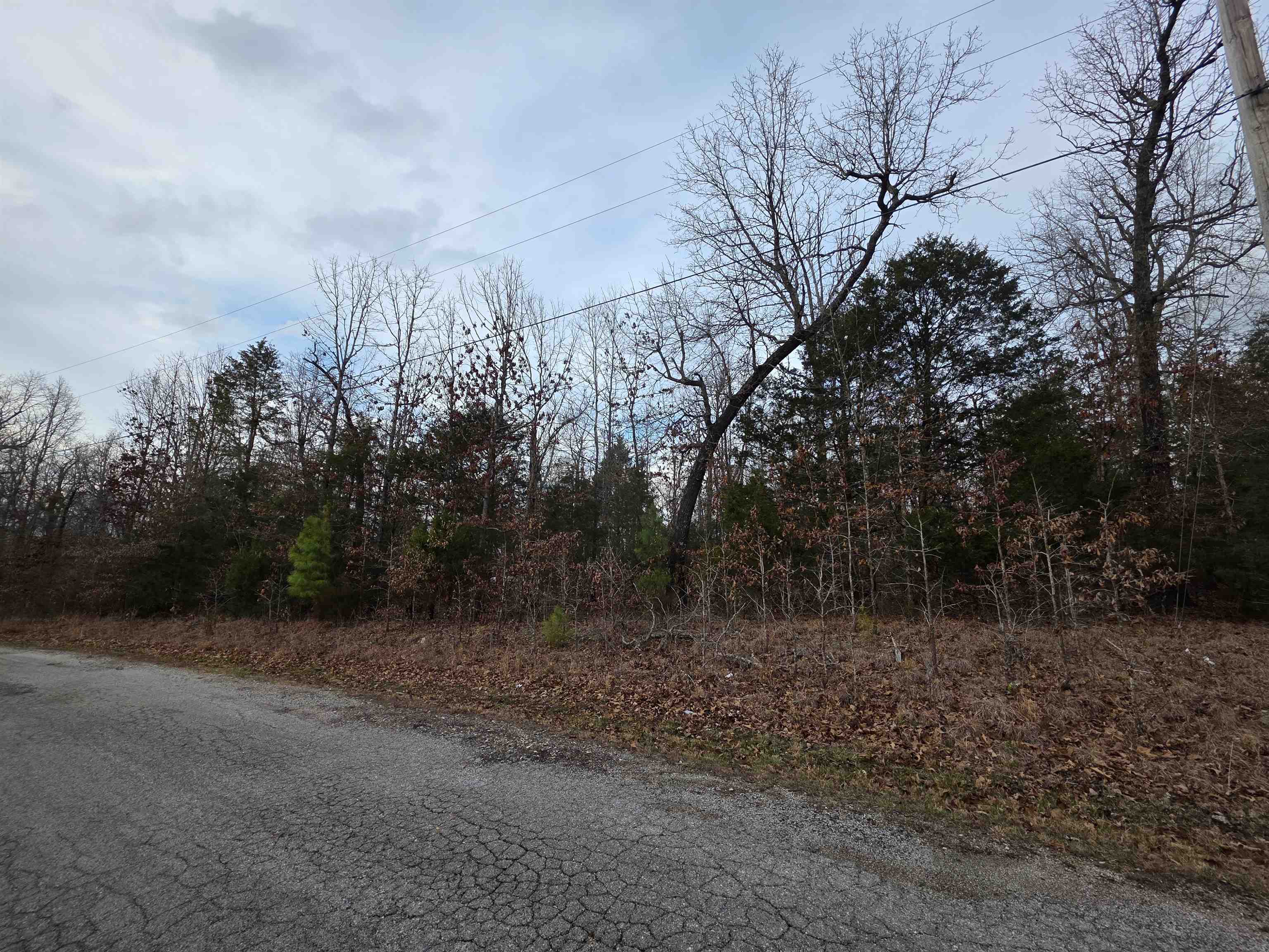 7 Lots Cherokee Village  Cherokee Village, AR