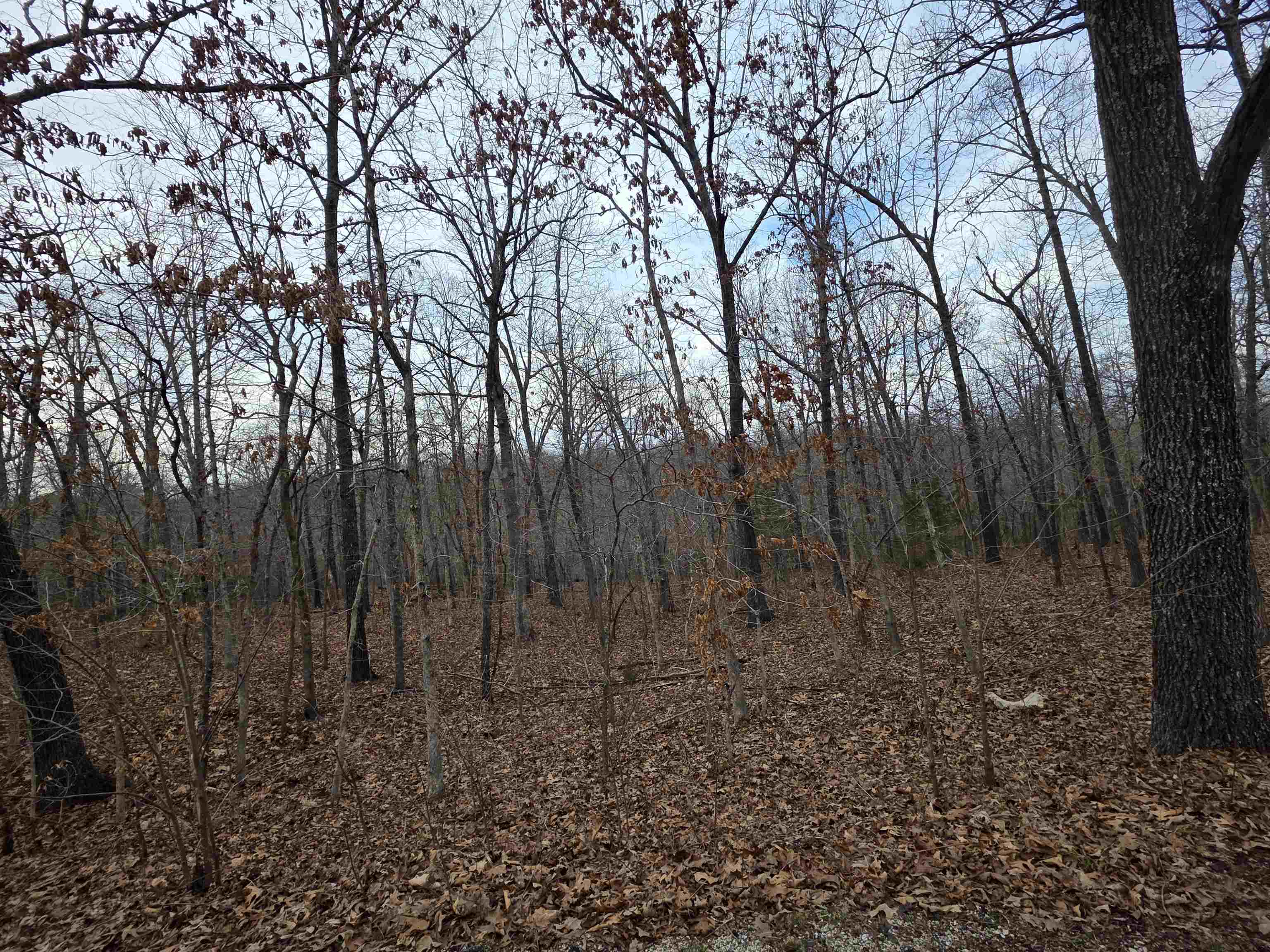 7 Lots Cherokee Village  Cherokee Village, AR