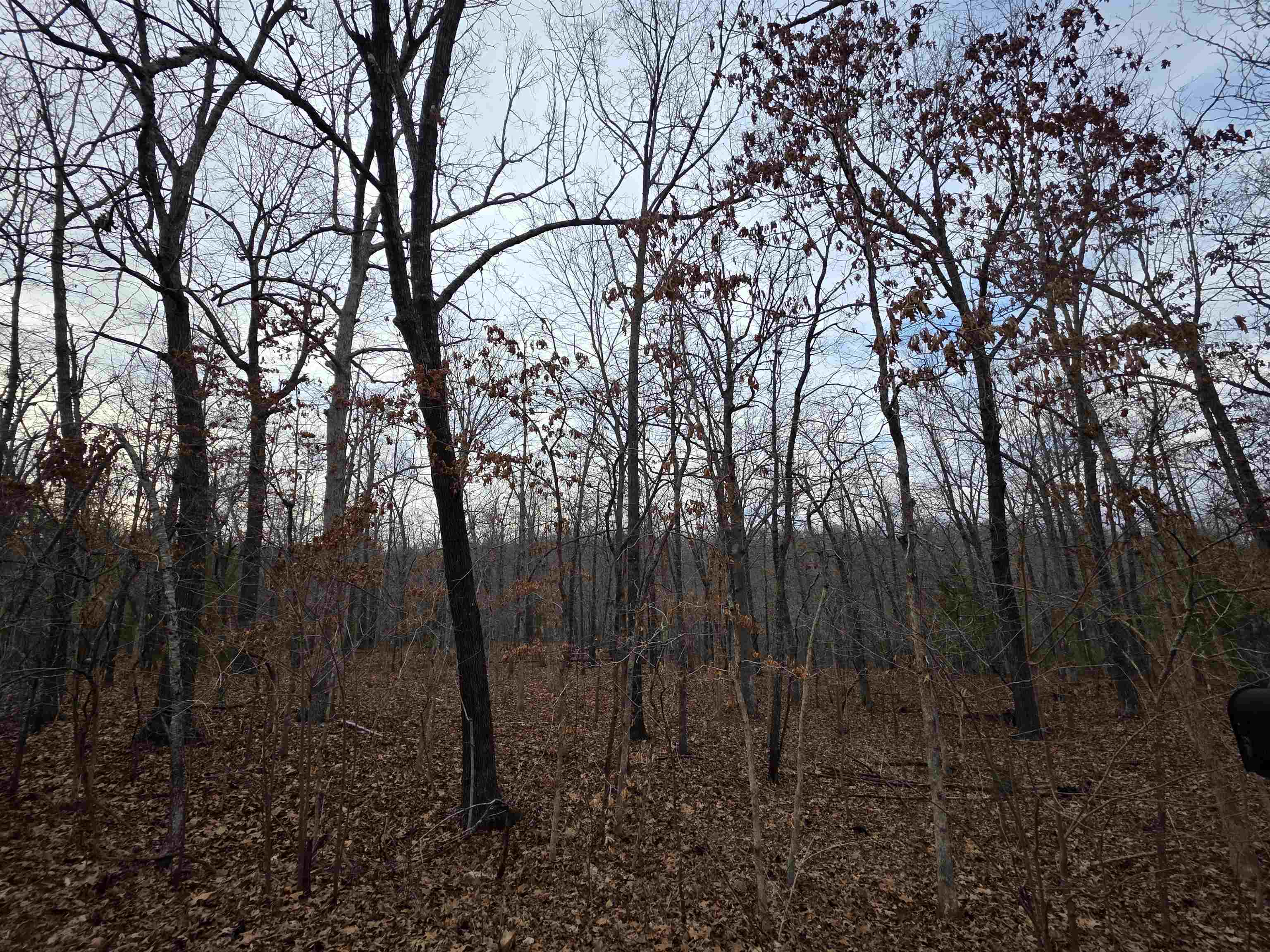 7 Lots Cherokee Village  Cherokee Village, AR