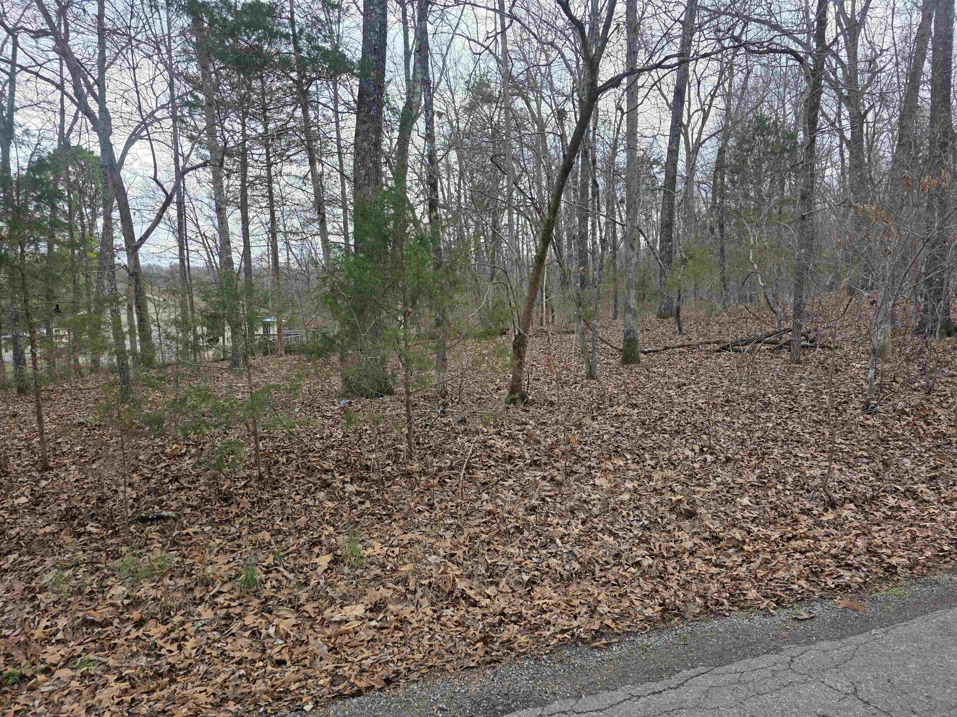7 Lots Cherokee Village  Cherokee Village, AR