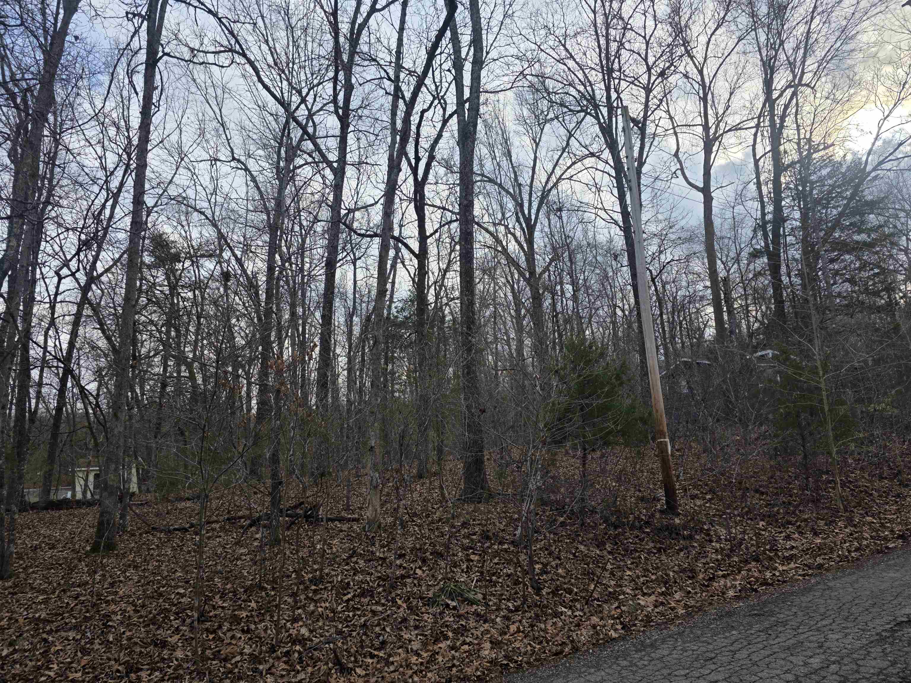 7 Lots Cherokee Village  Cherokee Village, AR