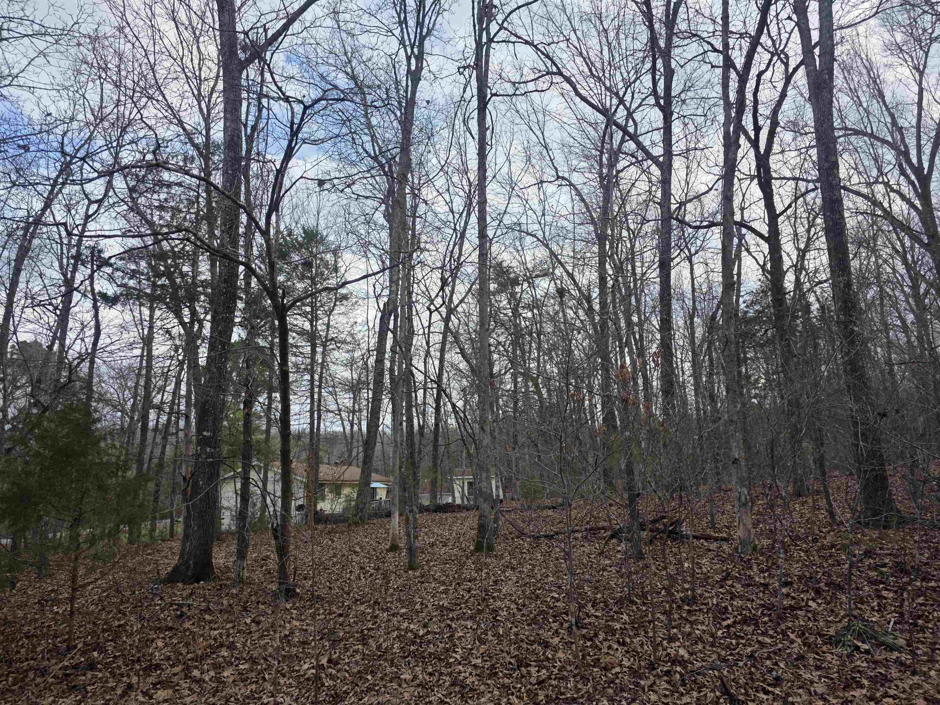 7 Lots Cherokee Village  Cherokee Village, AR