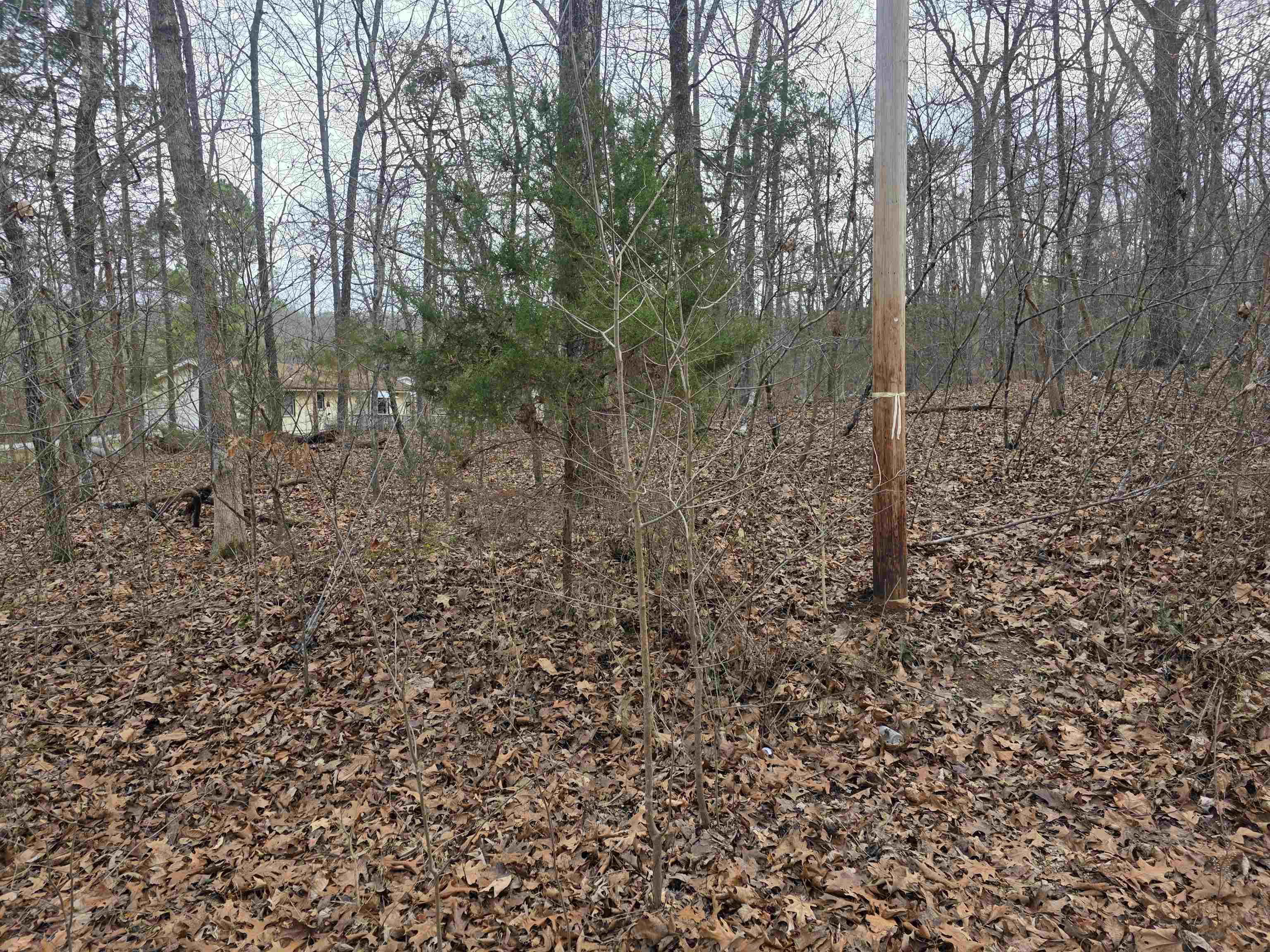 7 Lots Cherokee Village  Cherokee Village, AR