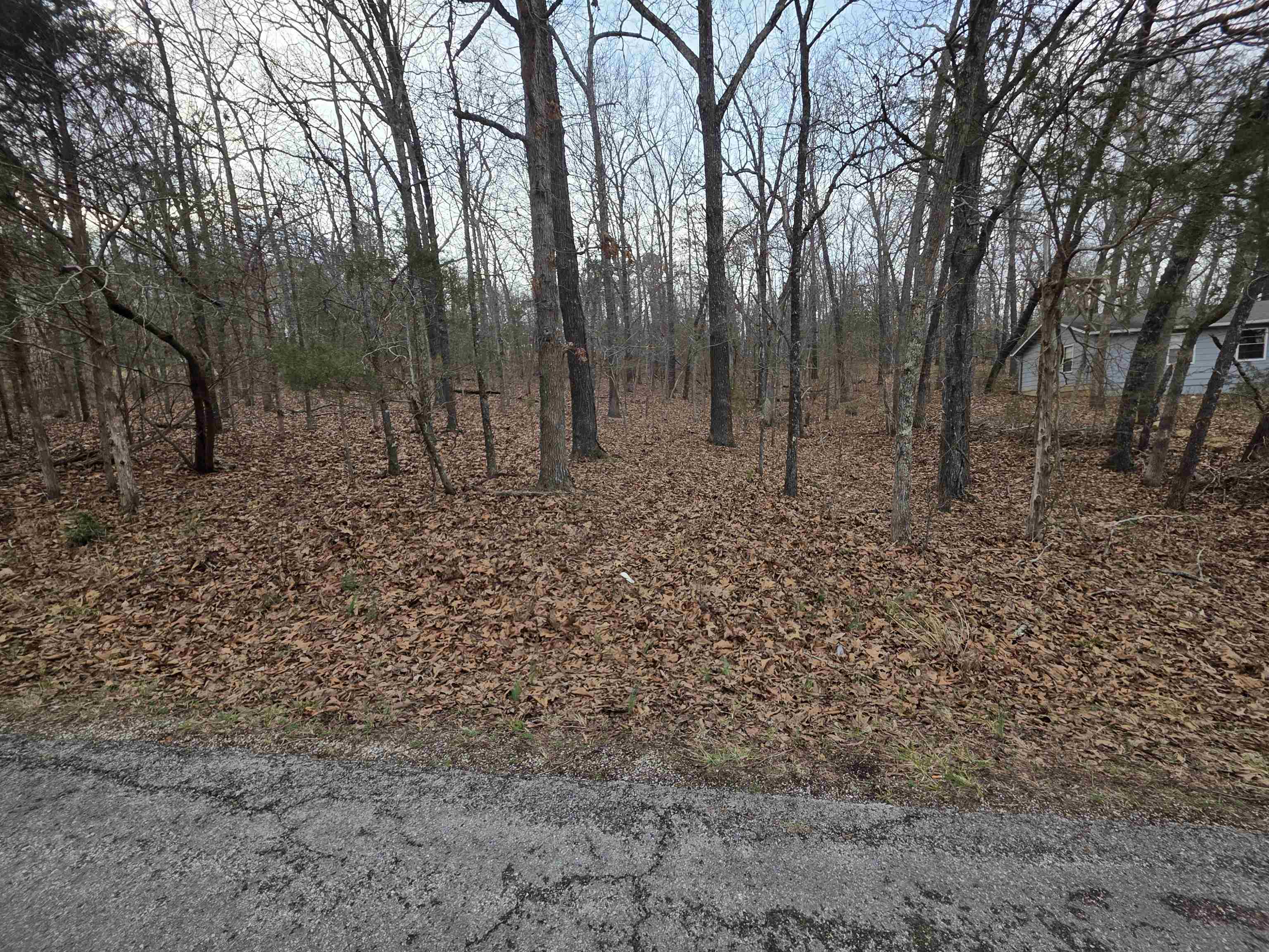 7 Lots Cherokee Village  Cherokee Village, AR