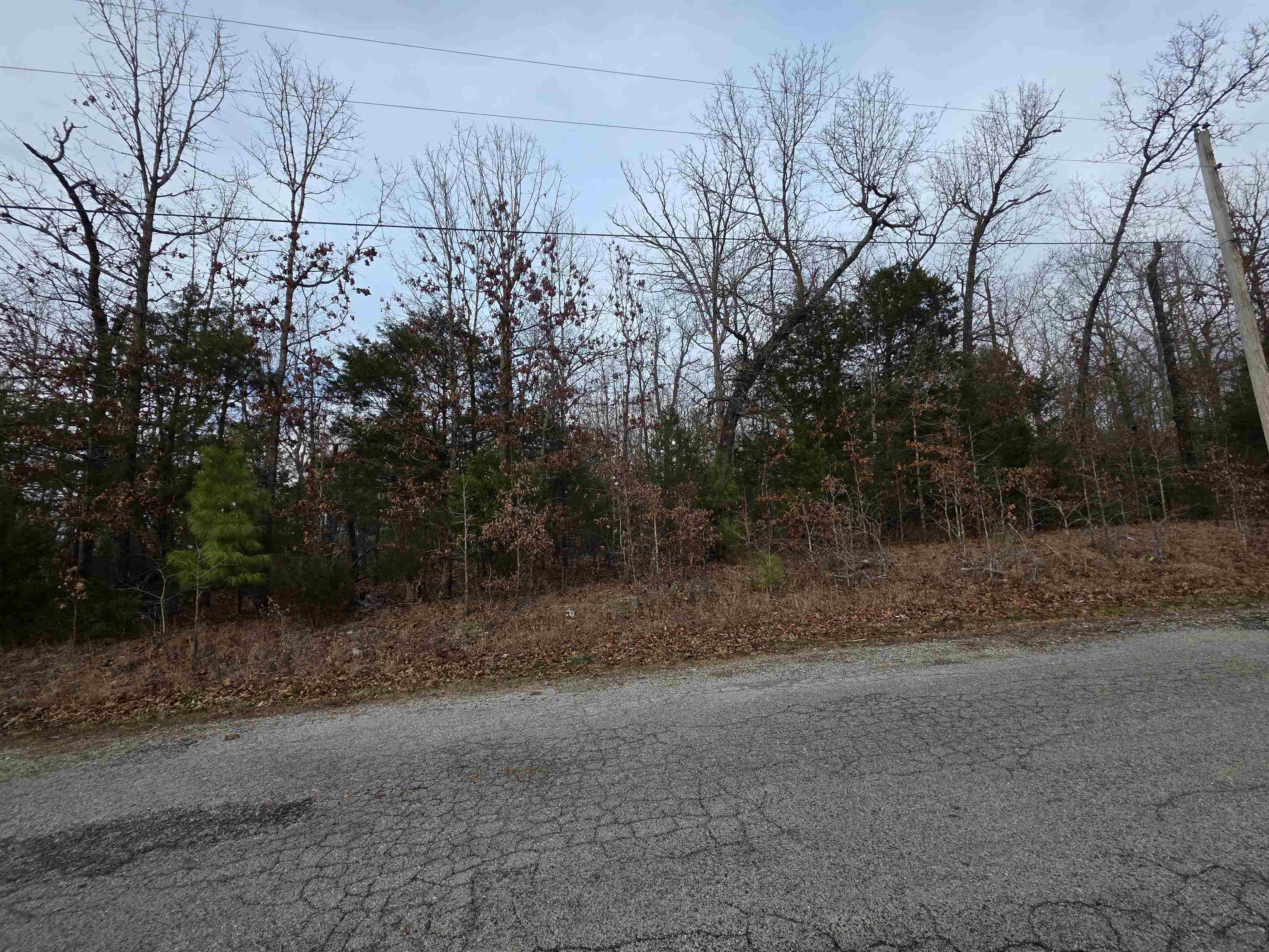 7 Lots Cherokee Village  Cherokee Village, AR