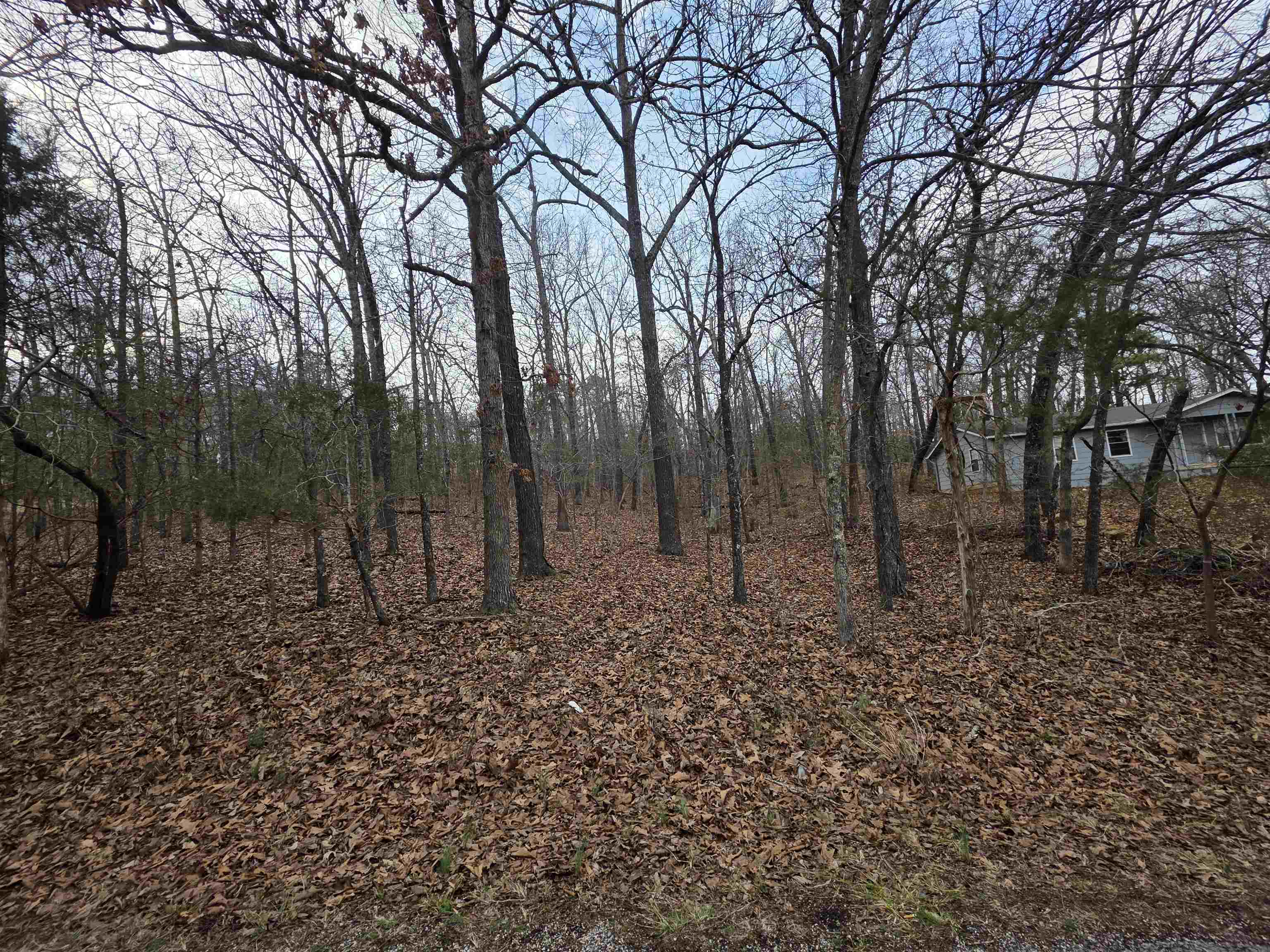 7 Lots Cherokee Village  Cherokee Village, AR
