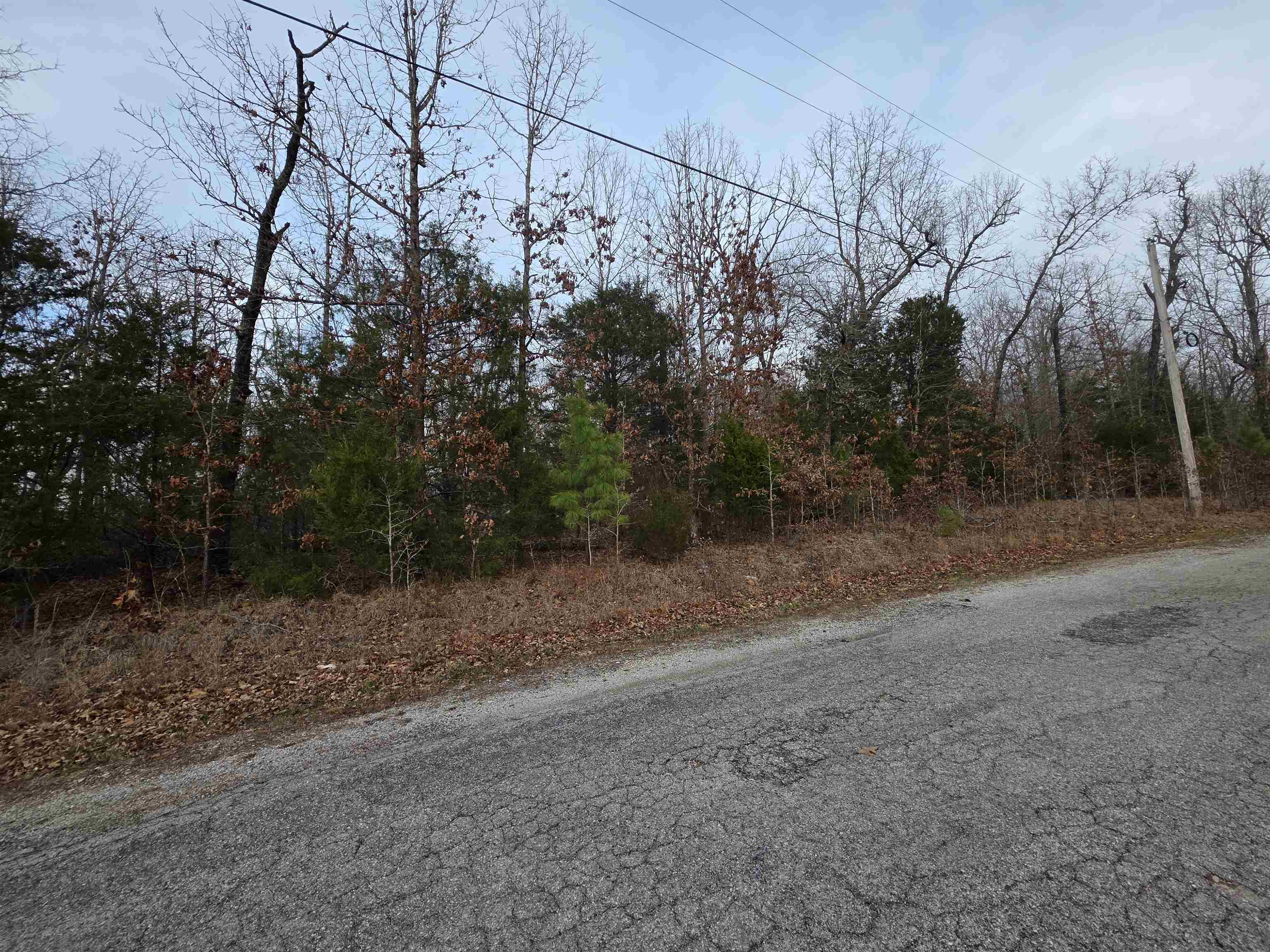 7 Lots Cherokee Village  Cherokee Village, AR