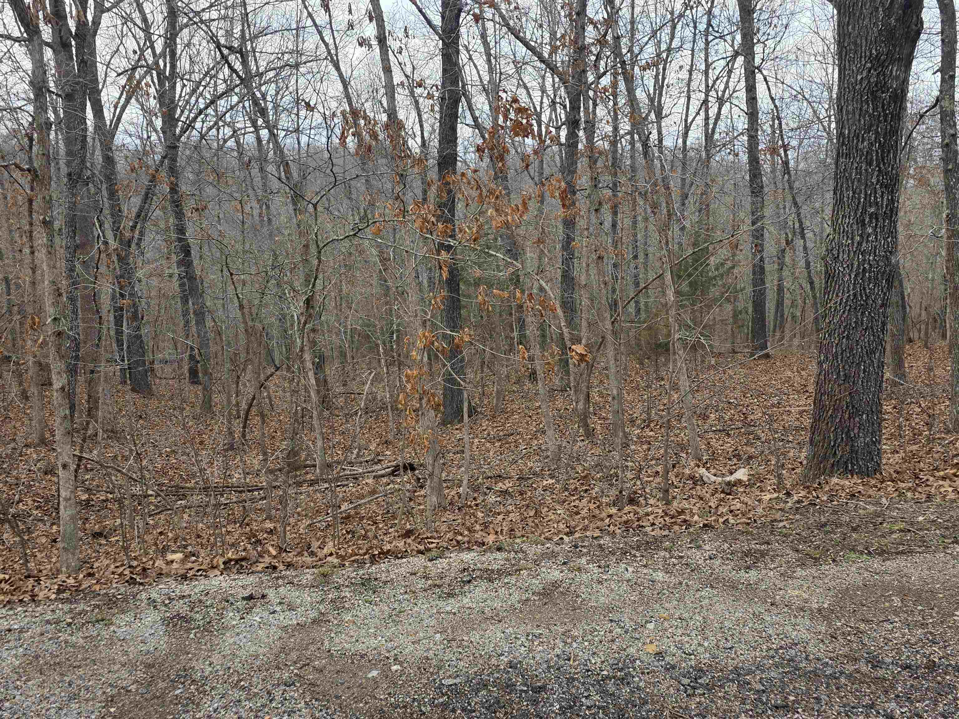 L26 B2 Saskatchewan  Cherokee Village, AR