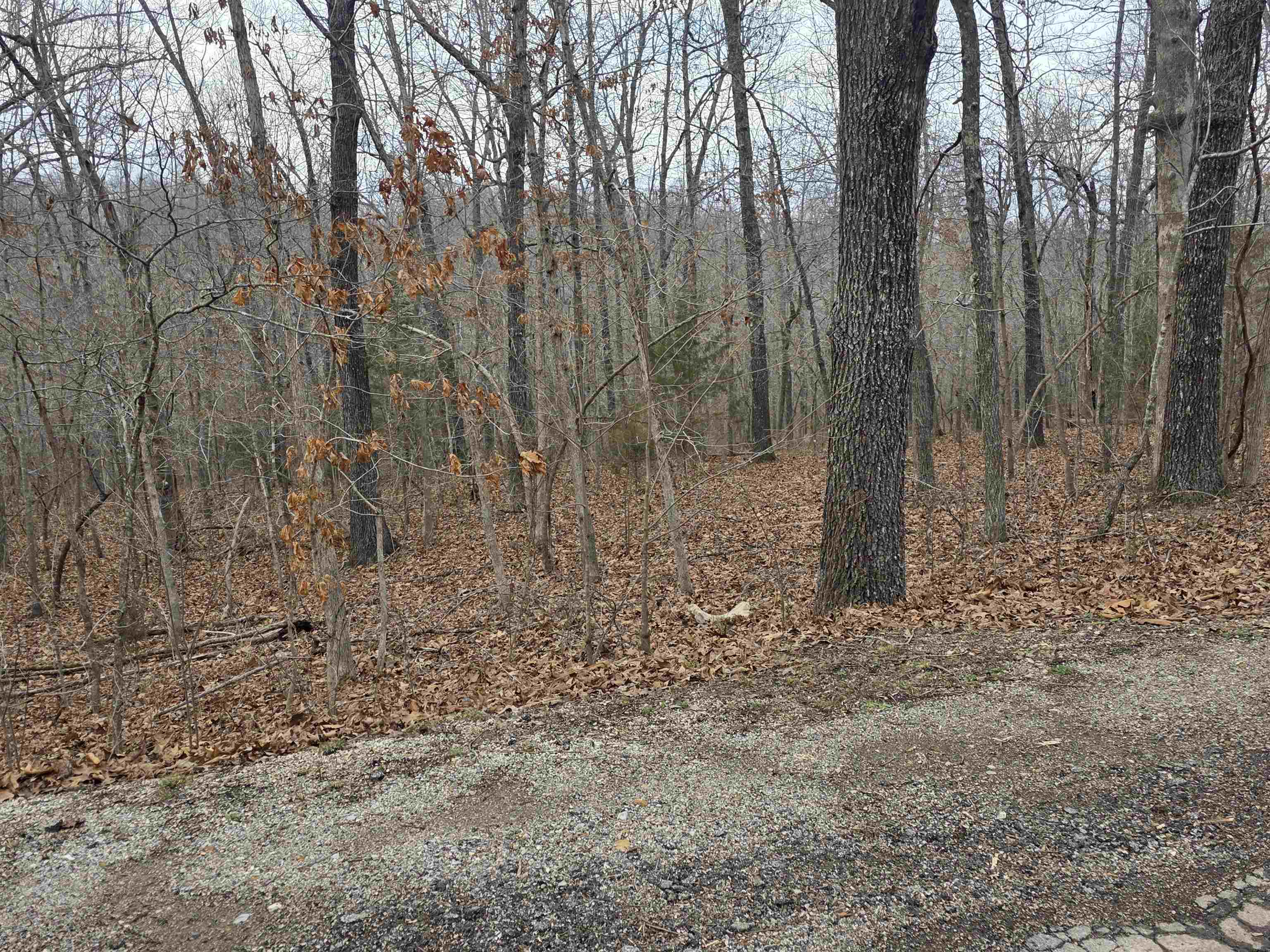 L26 B2 Saskatchewan  Cherokee Village, AR