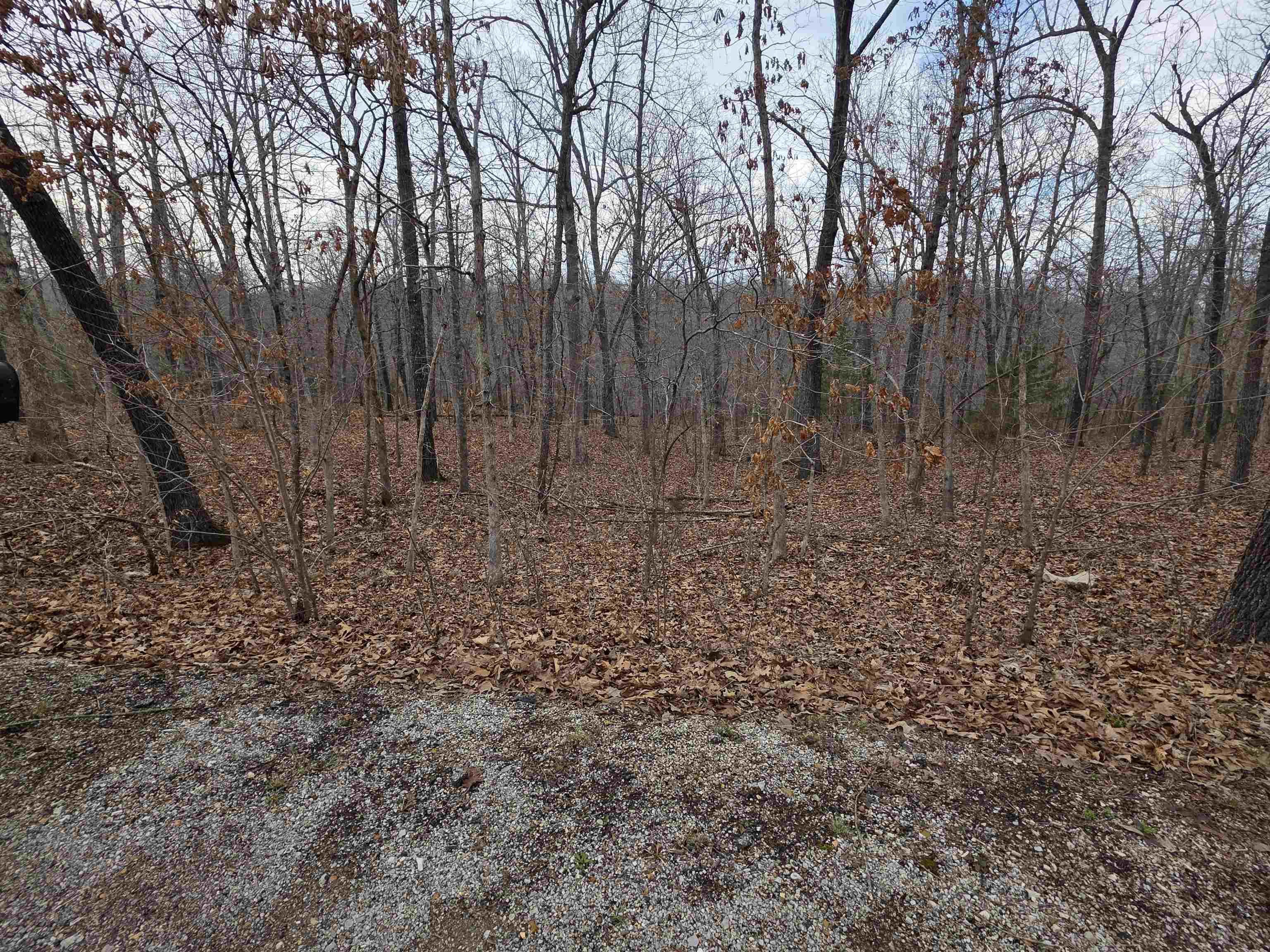 L26 B2 Saskatchewan  Cherokee Village, AR