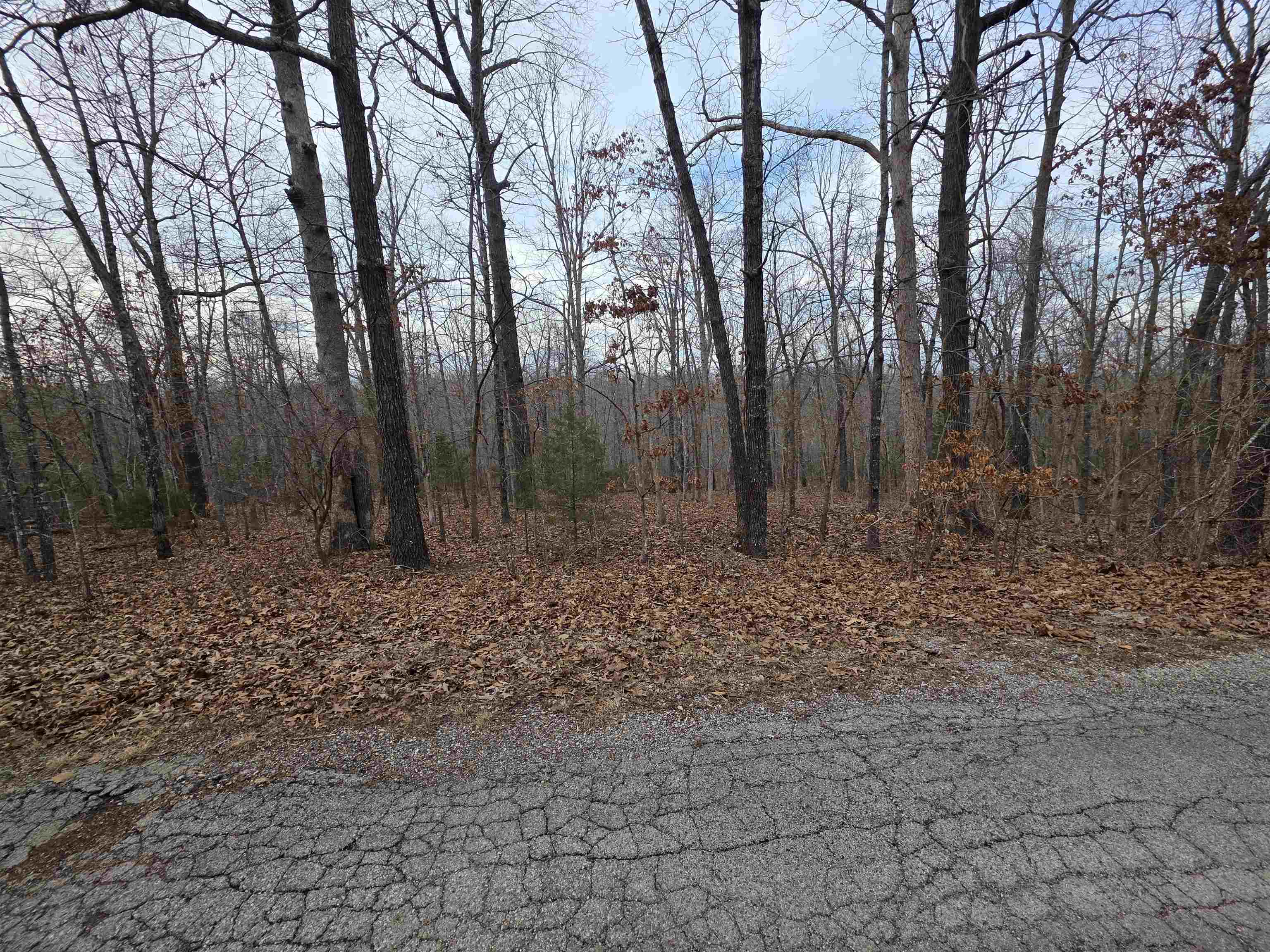 L26 B2 Saskatchewan  Cherokee Village, AR