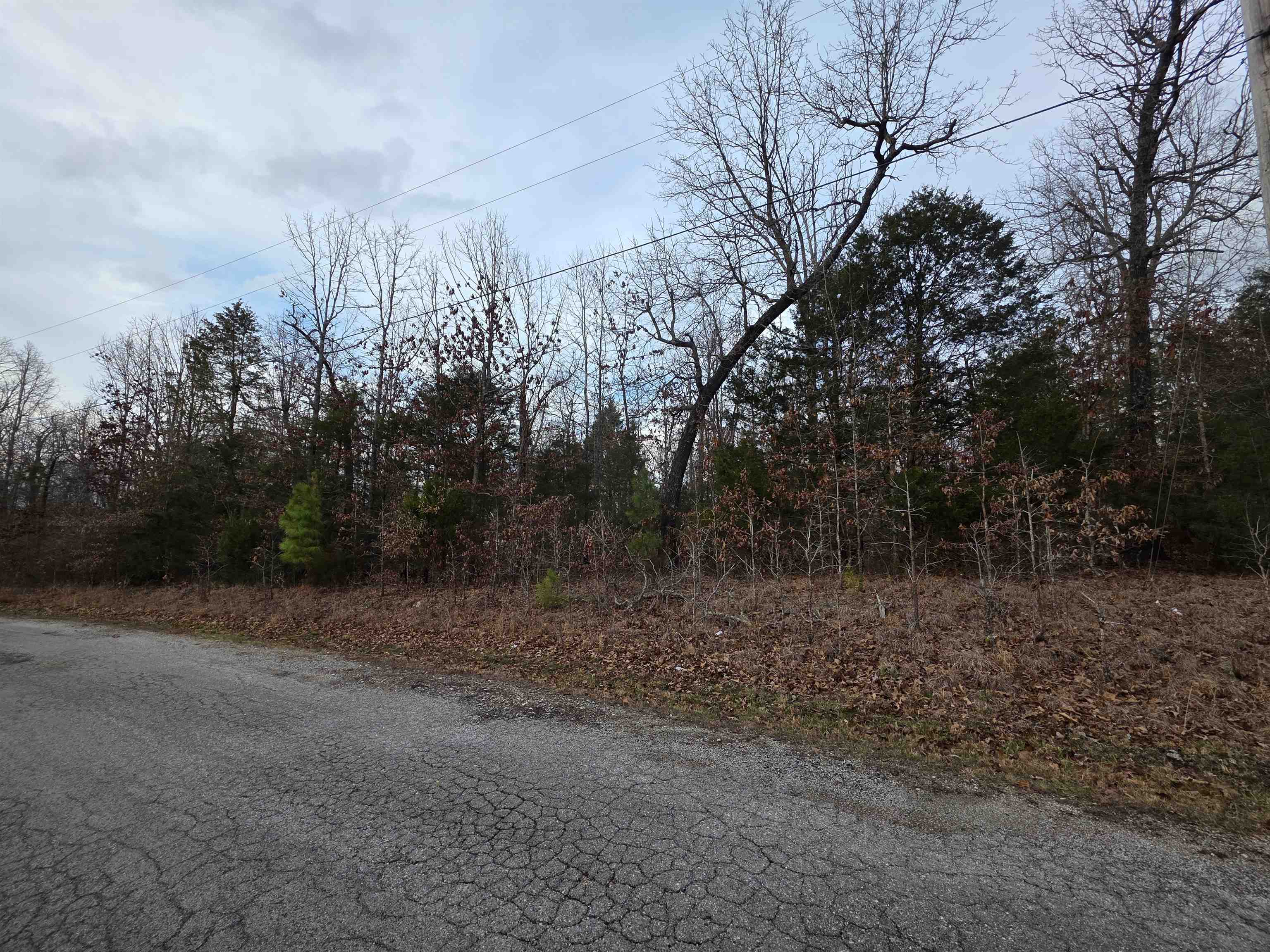 L28 B1 Arkinda  Cherokee Village, AR