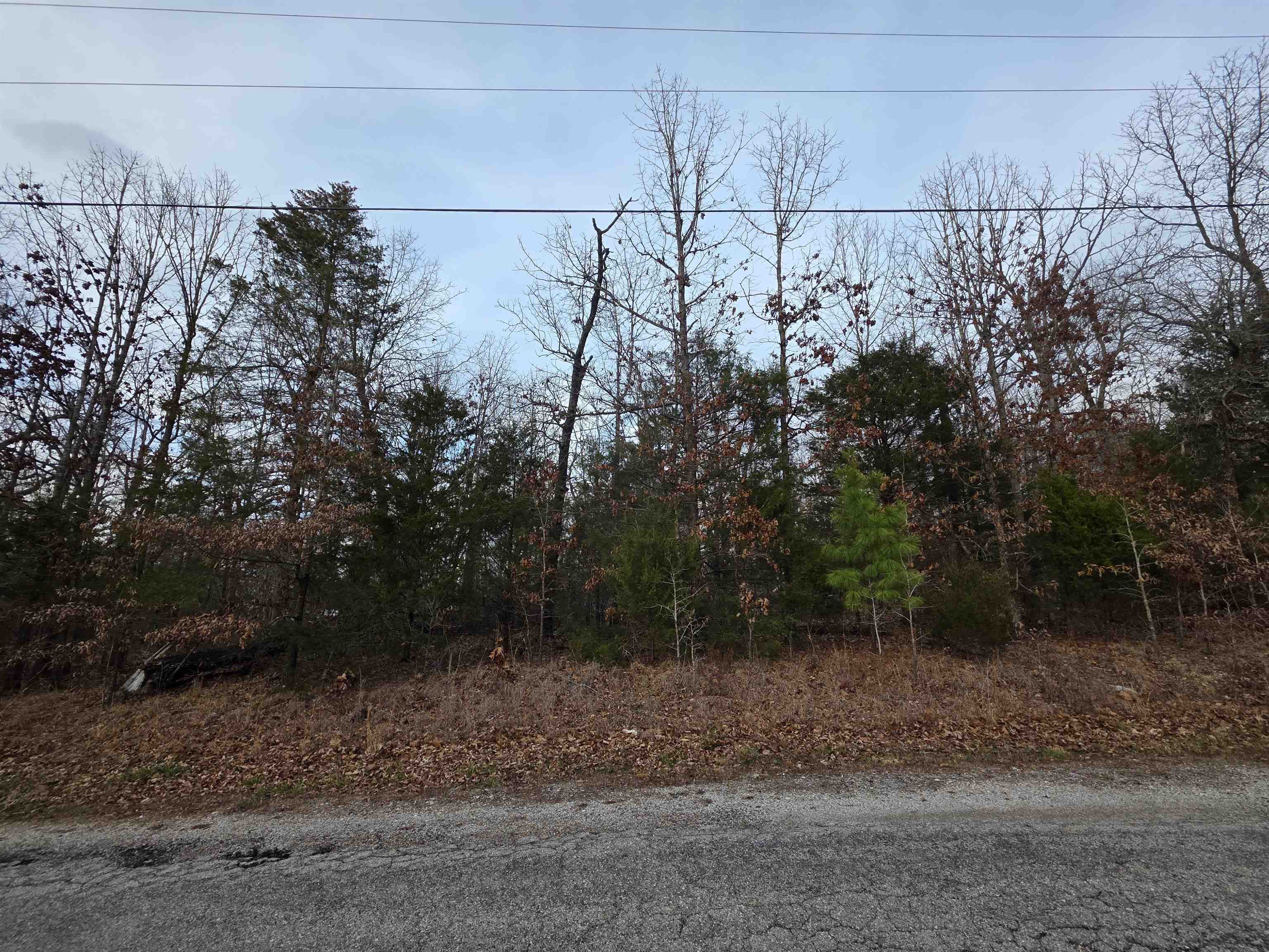 L28 B1 Arkinda  Cherokee Village, AR