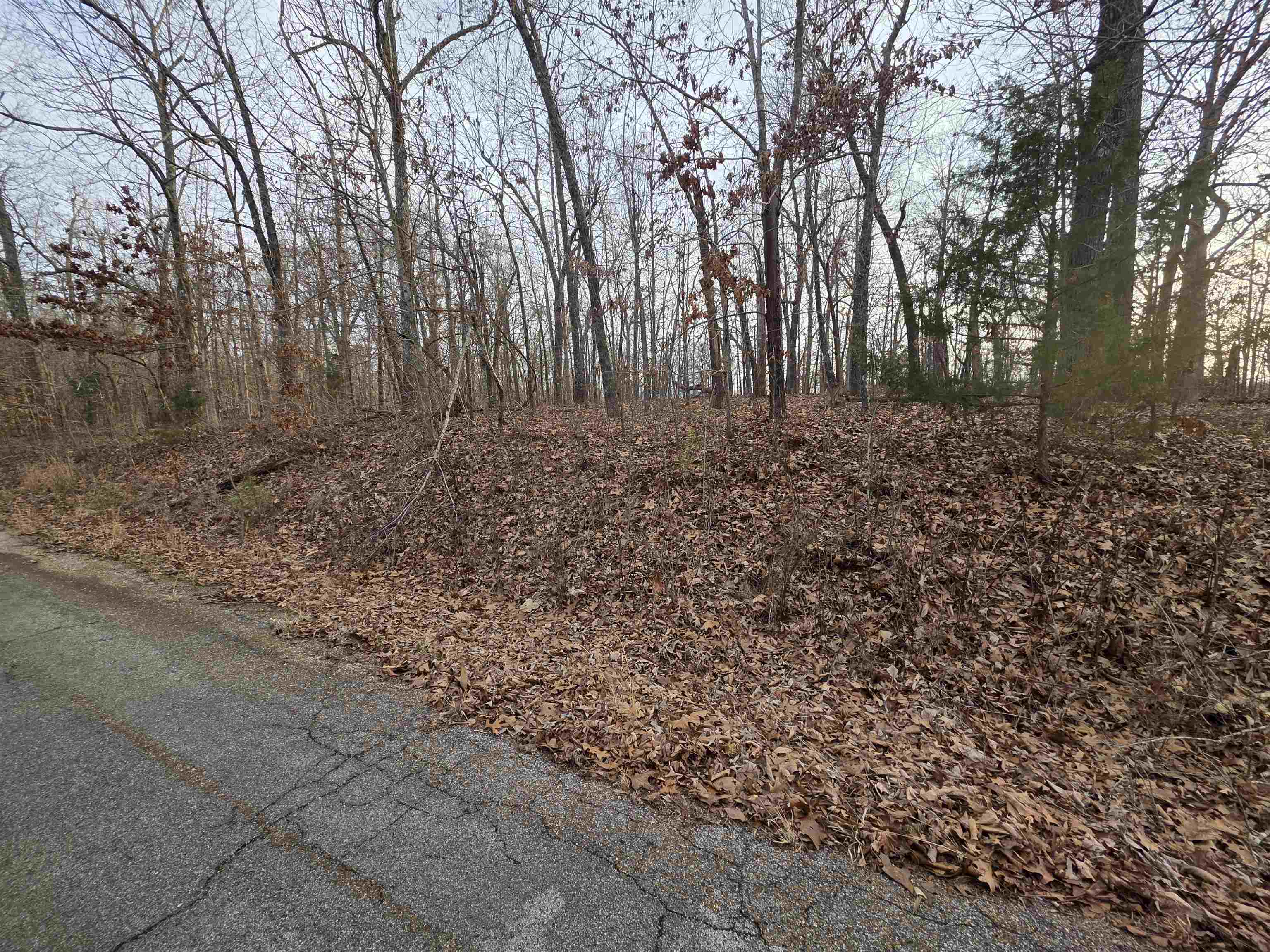 L39 B1 Nakoma  Cherokee Village, AR