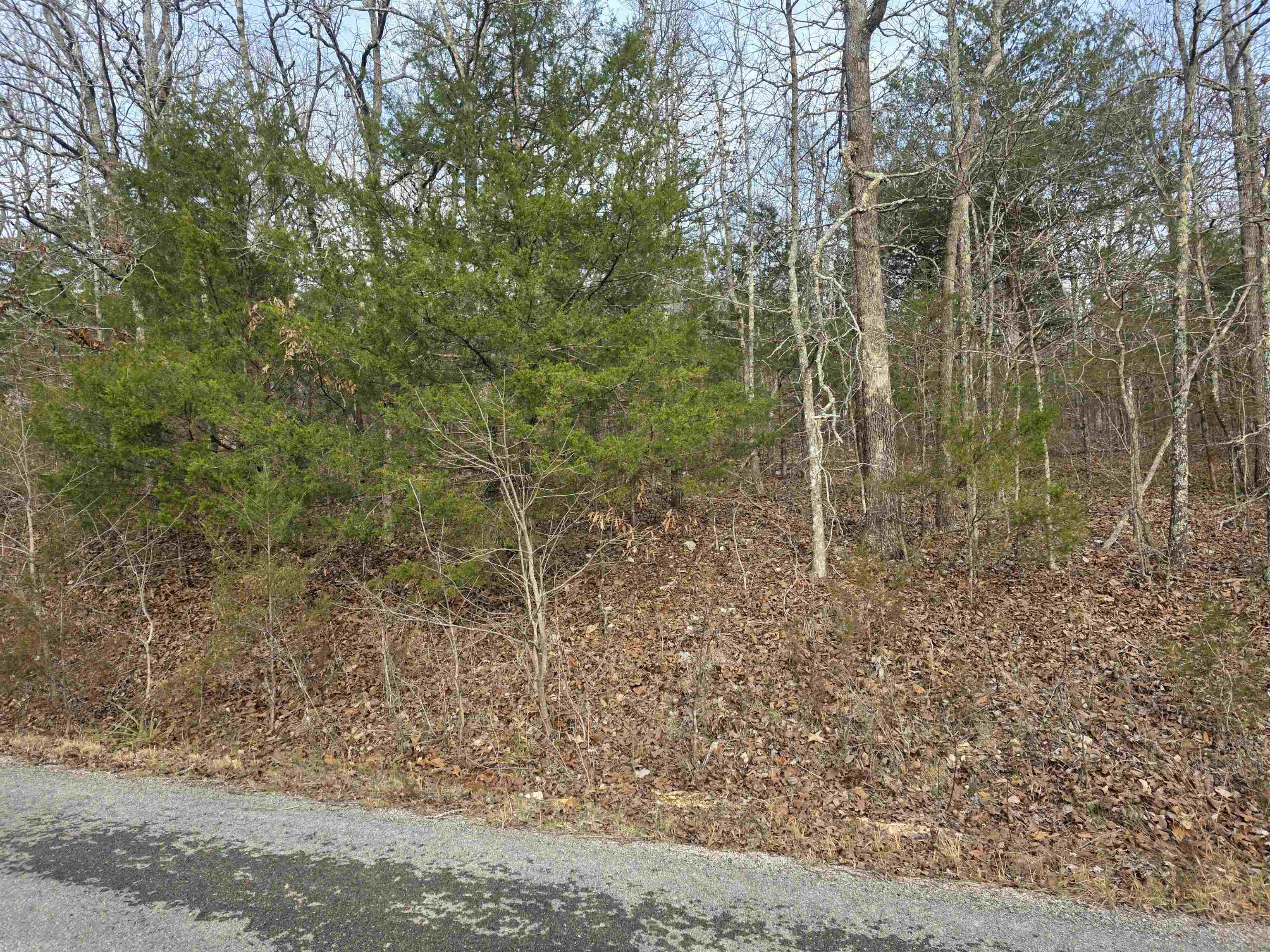 L26 B4 Boanna  Cherokee Village, AR