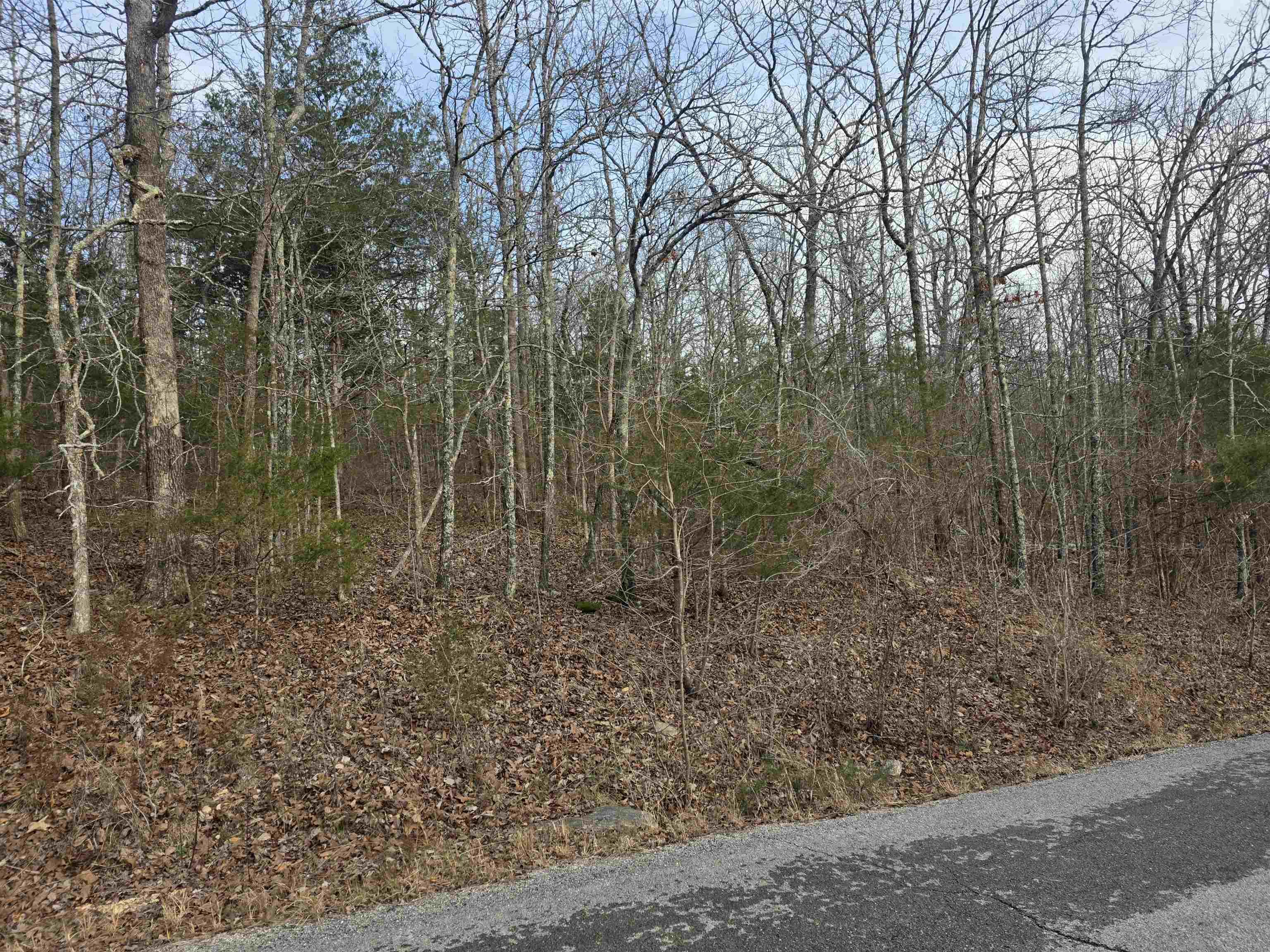 L26 B4 Boanna  Cherokee Village, AR