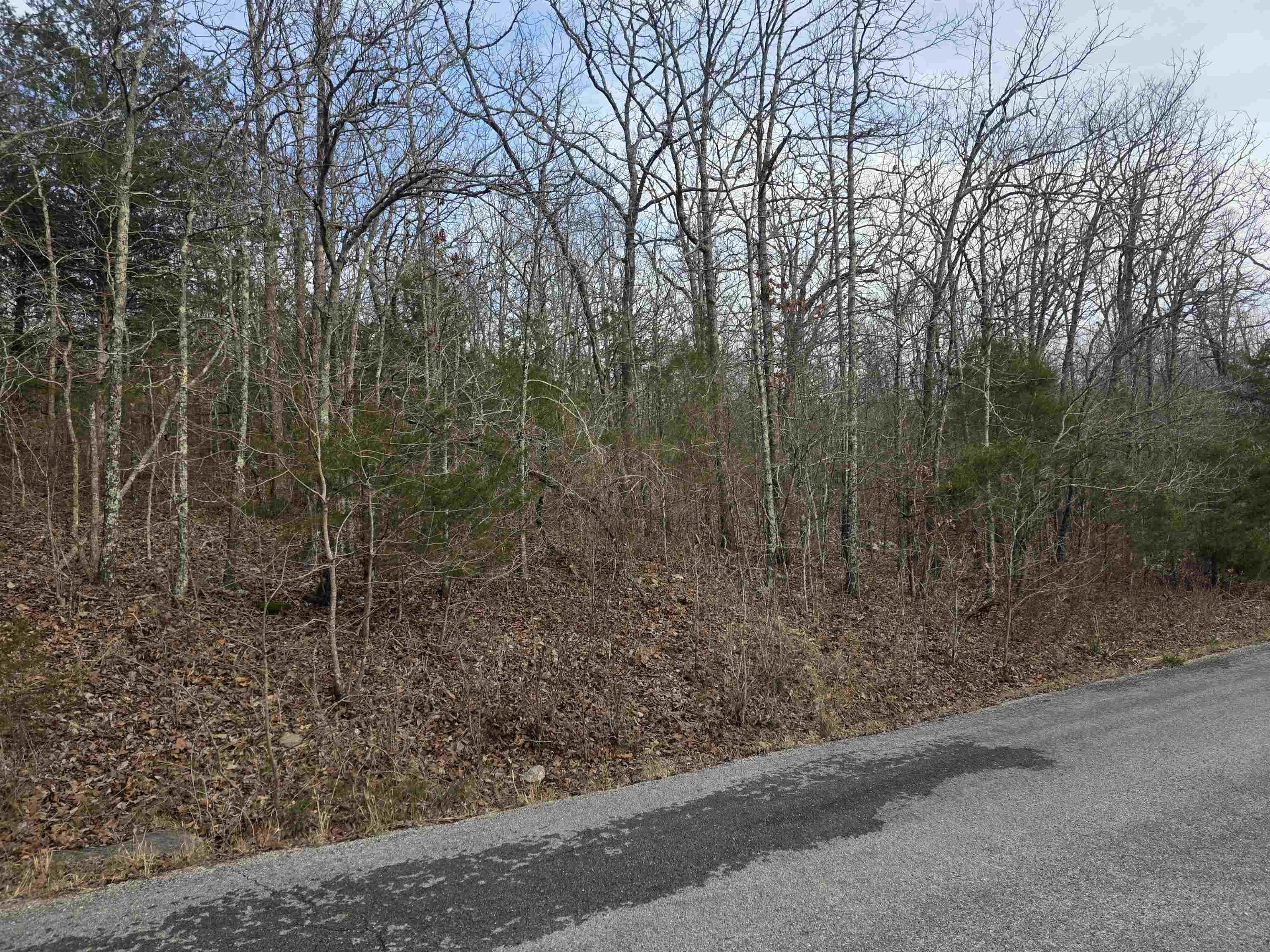 L26 B4 Boanna  Cherokee Village, AR