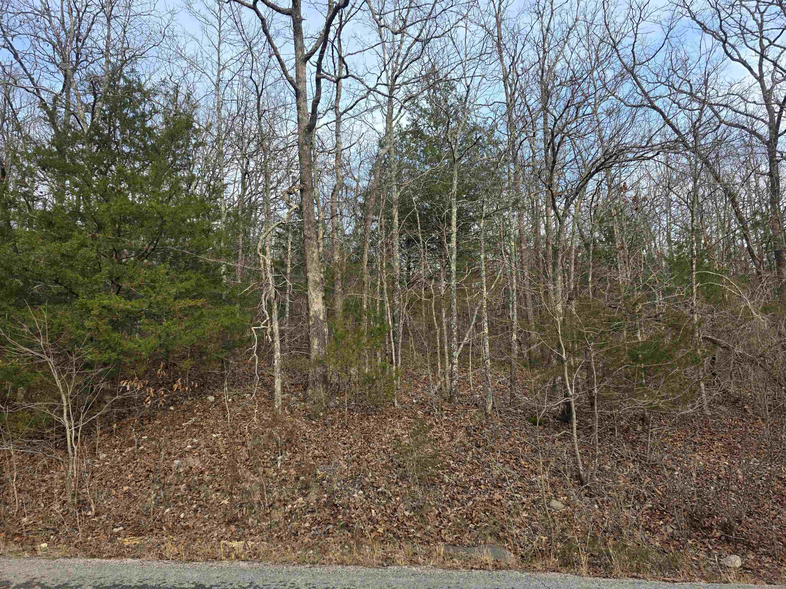 L26 B4 Boanna  Cherokee Village, AR