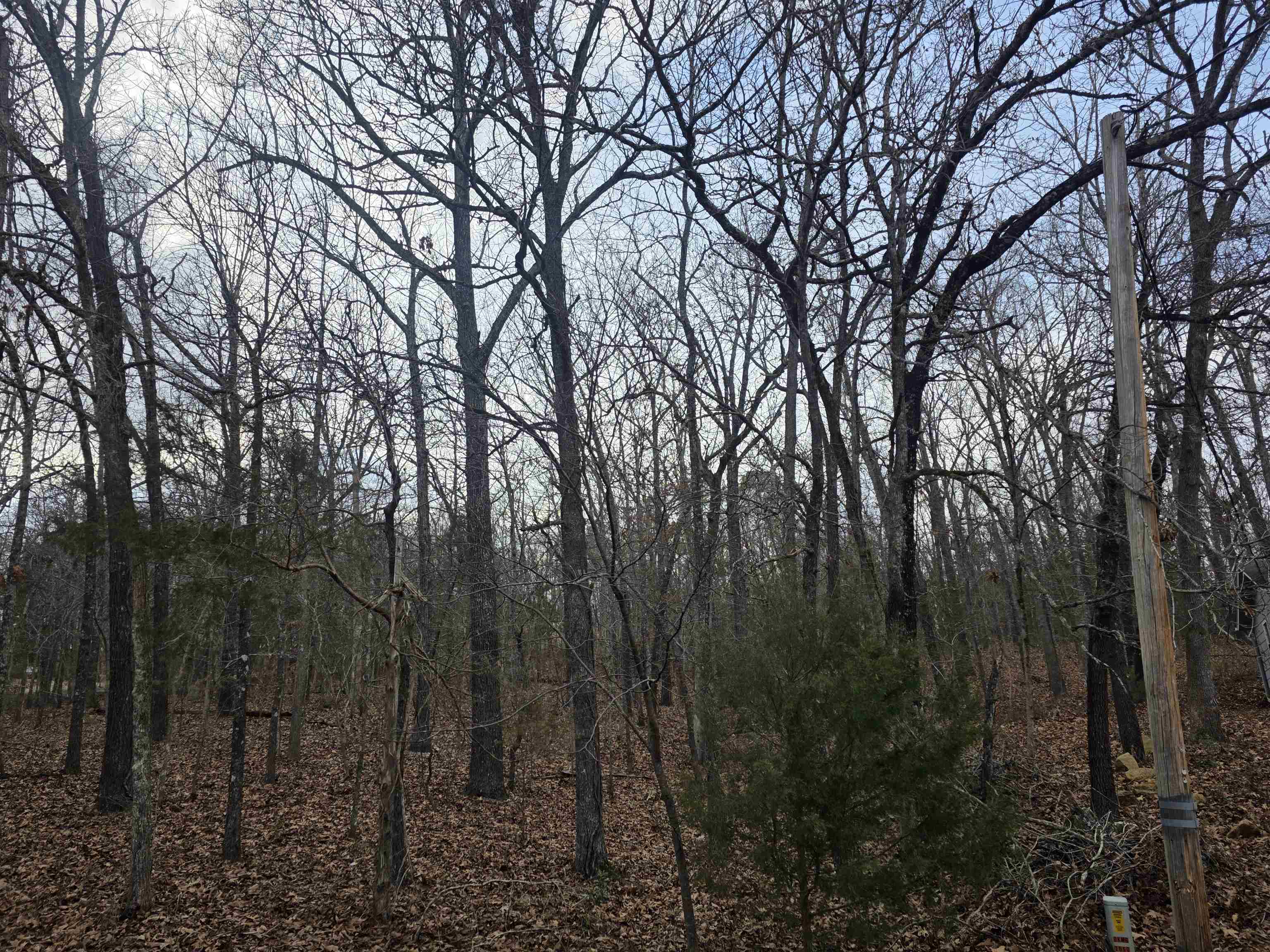 L3 B12 Spring Water  Cherokee Village, AR