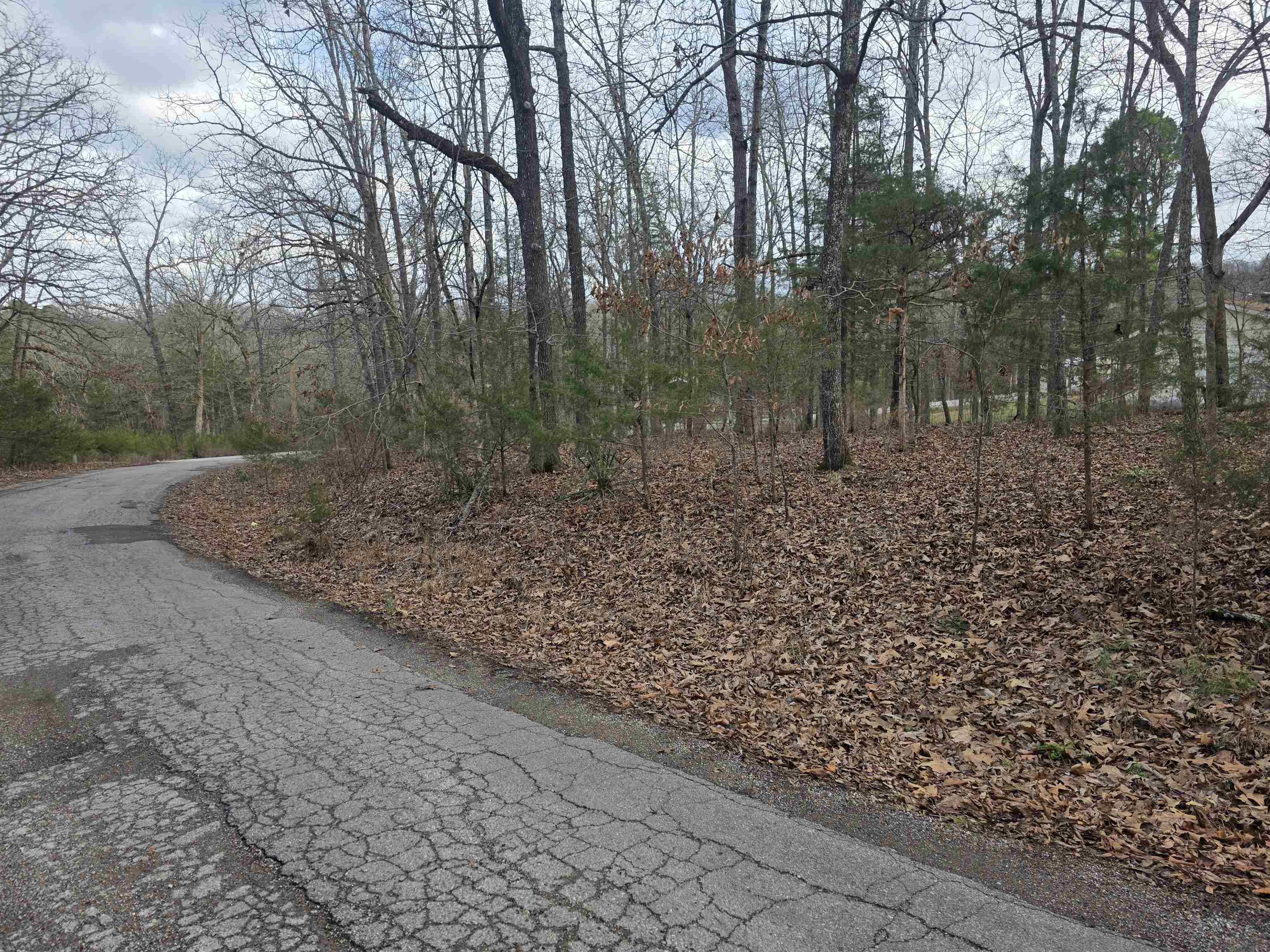 L13 B12 Seca  Cherokee Village, AR