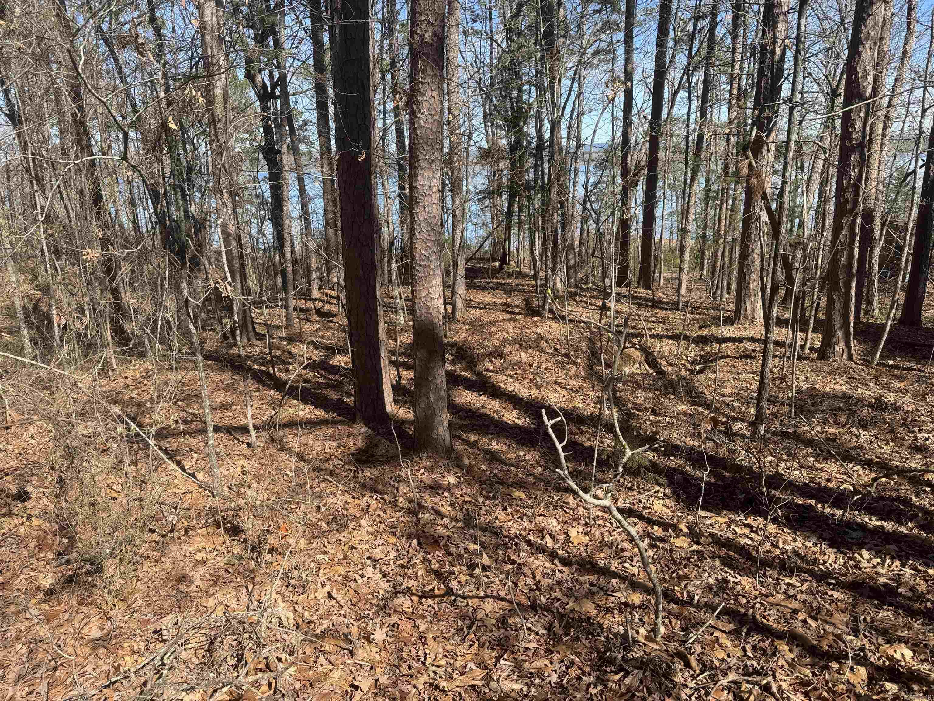 Lot 1 Kings Place  Quitman, AR