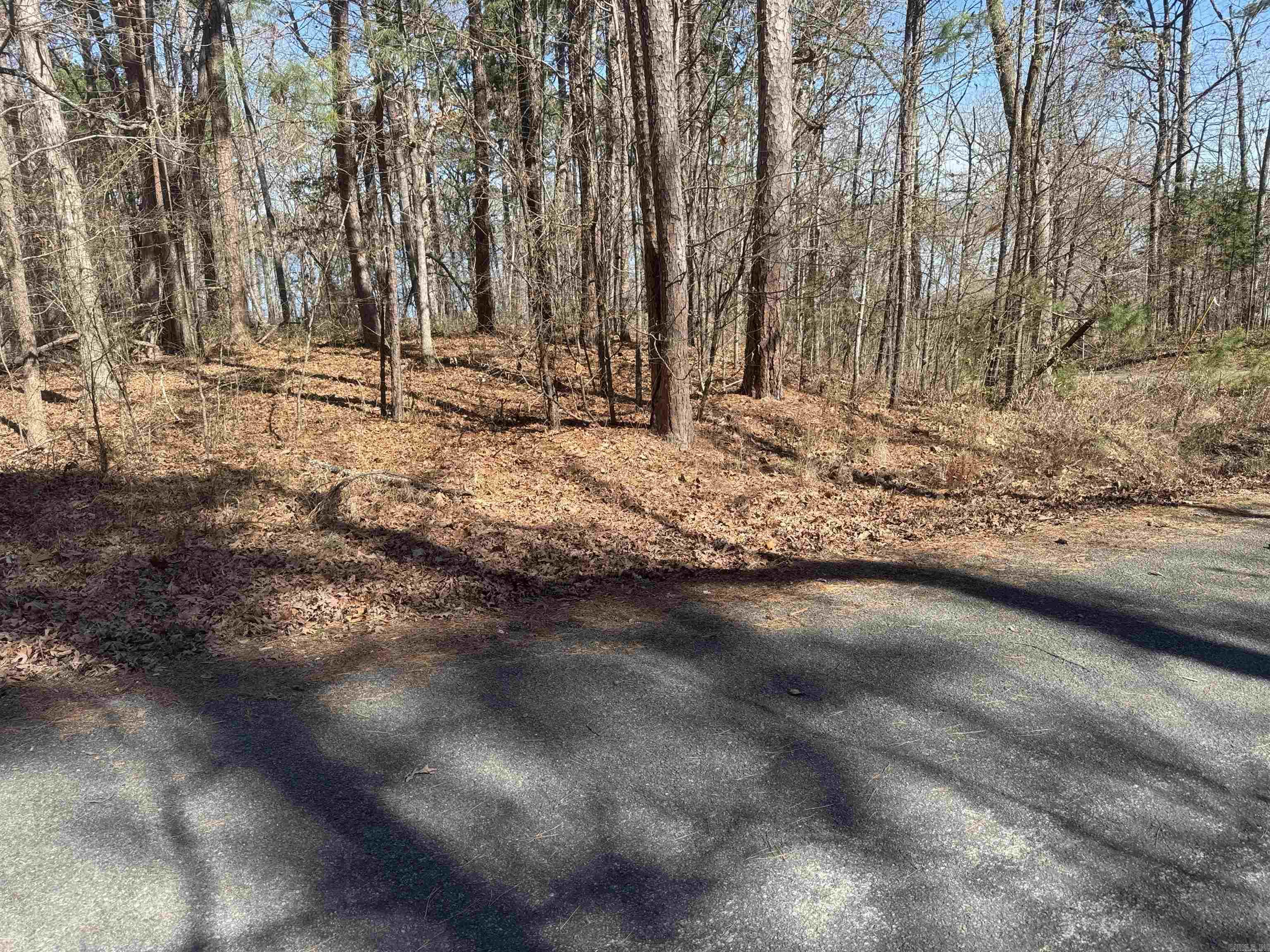 Lot 1 Kings Place  Quitman, AR