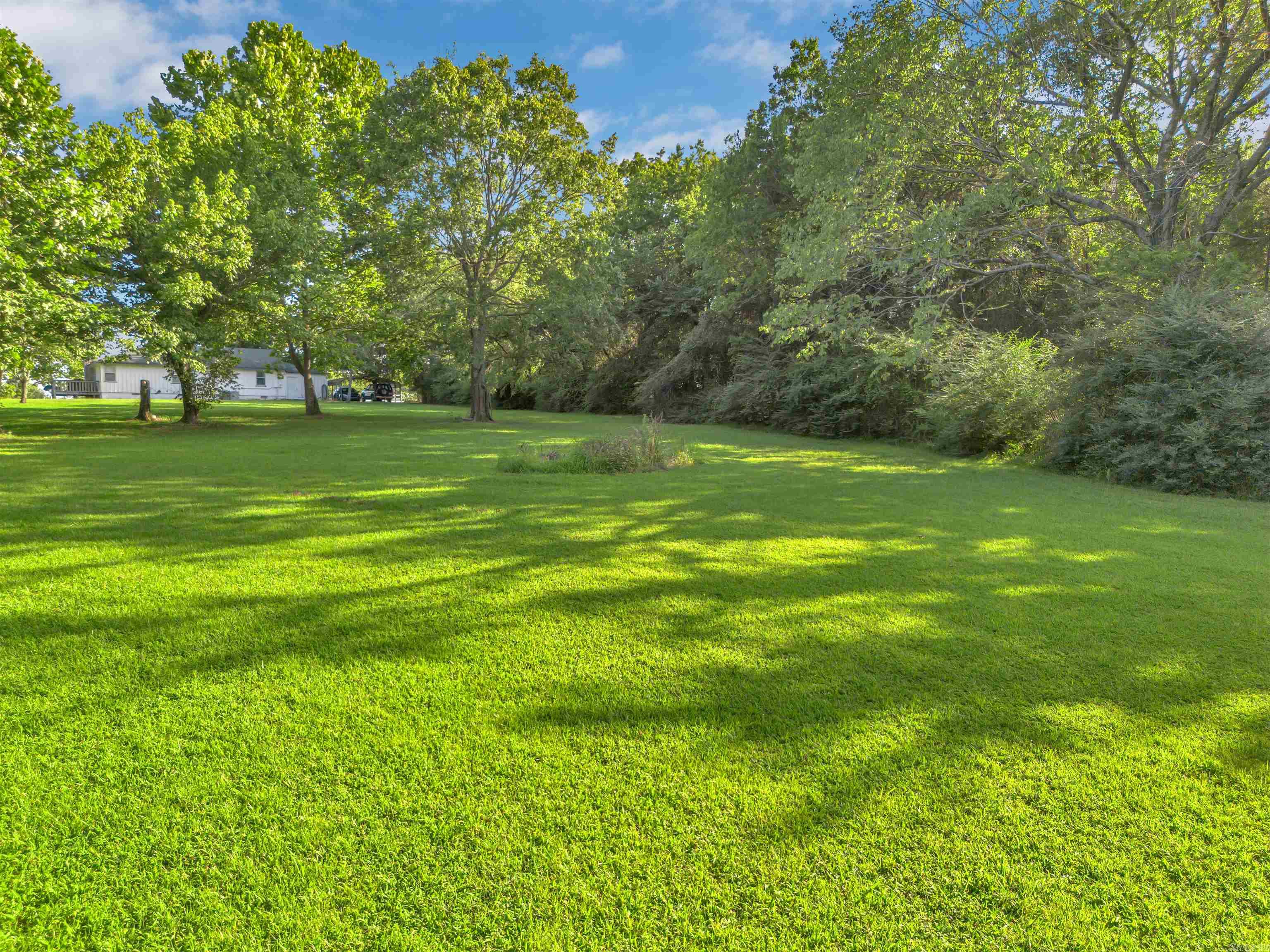 1224 SR 363  Pottsville, AR