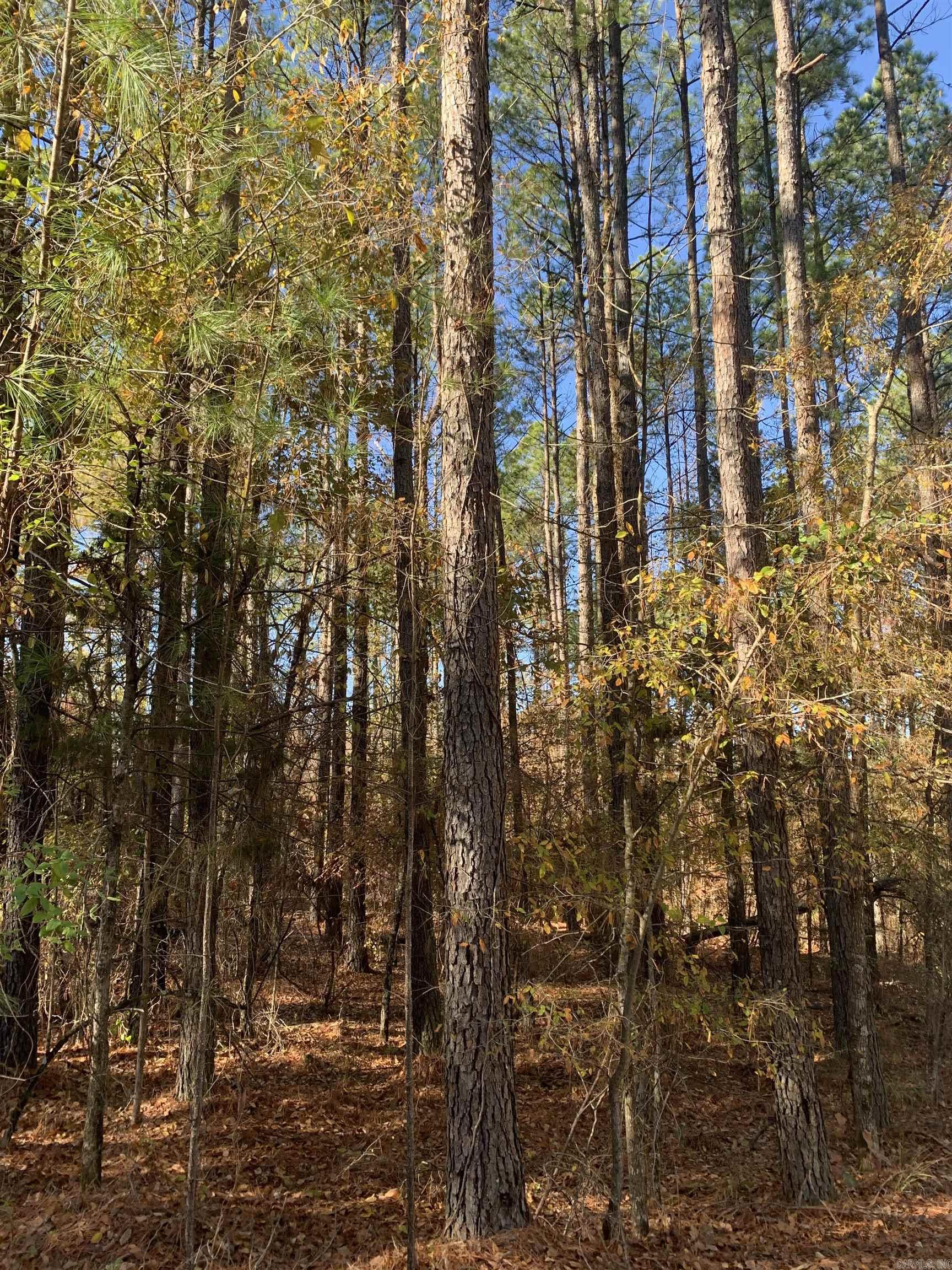 25 Victoria  Hot Springs Village, AR